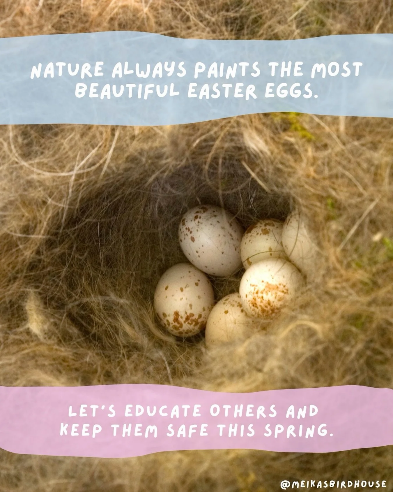 Nature&rsquo;s Easter eggs are all around us this spring!  As Edmonton&rsquo;s birds work hard building nests and laying eggs, it&rsquo;s a great time to appreciate these little miracles&mdash;but also to remember how important it is to give their ne