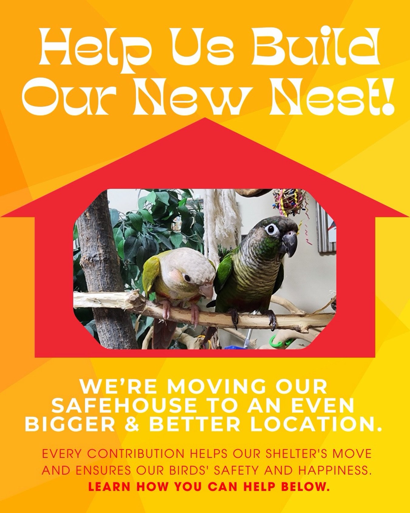 Exciting news! We&rsquo;re moving to a new and improved location starting this month, closer to Meika&rsquo;s Birdhouse! 

This is a huge step forward for our shelter and the precious birds we care for. However, the move brings significant renovation