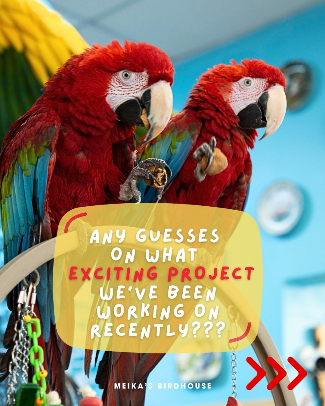 Hmmm... what could it be?

Keep your ears peeled&mdash;something BIG is about to take flight in the next few days! 

Stay tuned!