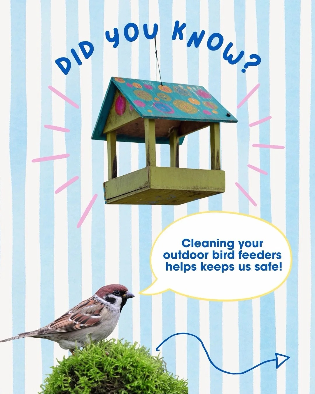 🌟 Have you had a chance to listen to the first episode of BirdHouse Banter yet? 🐦 It&rsquo;s available wherever you get your podcasts! 🎧

In our introductory episode, we chat about everything&mdash;from the story behind Meika&rsquo;s Birdhouse to 