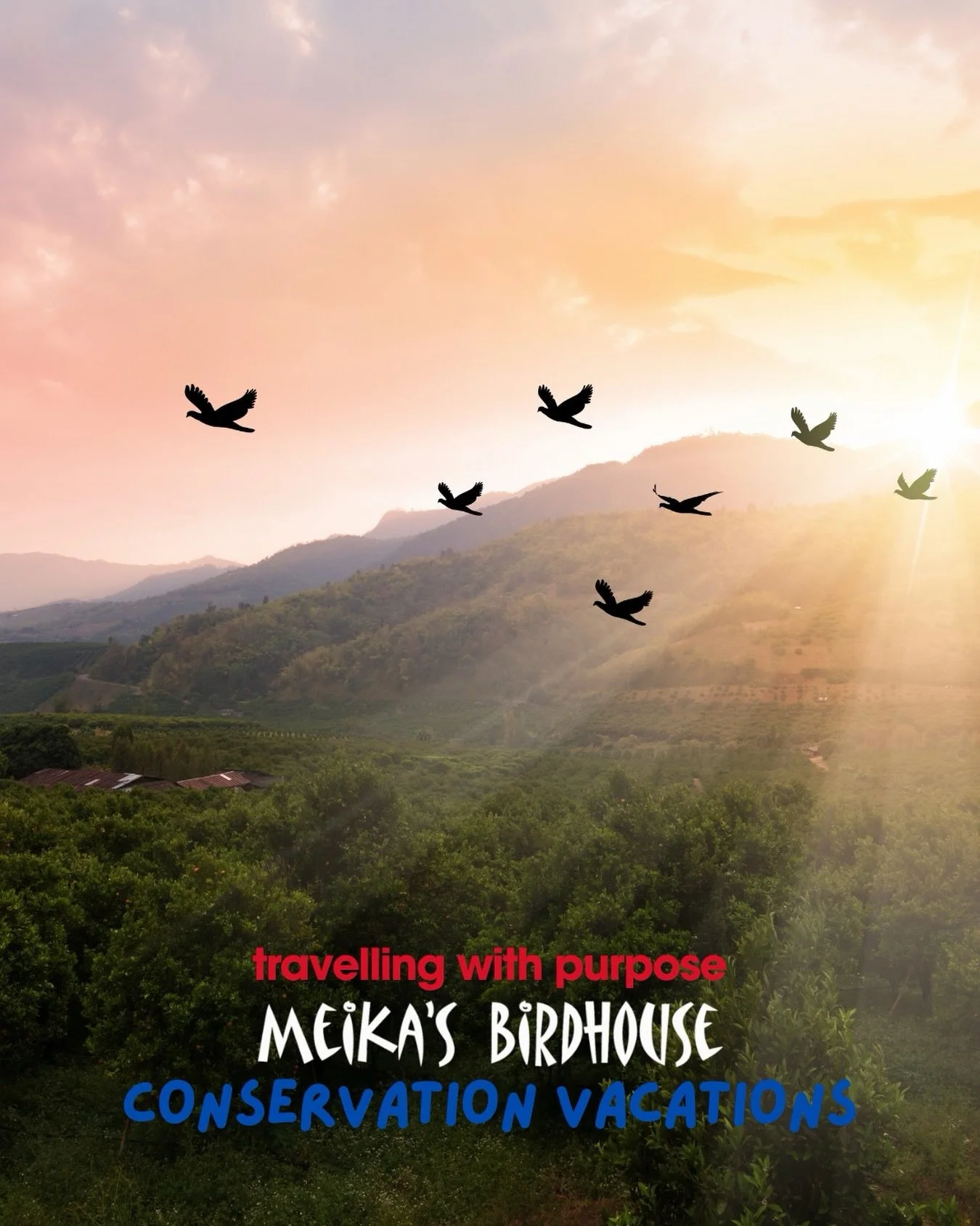 This week, as we continue to think about Earth Day, we want to take a moment to highlight the role we all play in protecting the planet.

Our next Conservation Vacation to Thailand may already be sold out (thank you for the amazing support!), but our