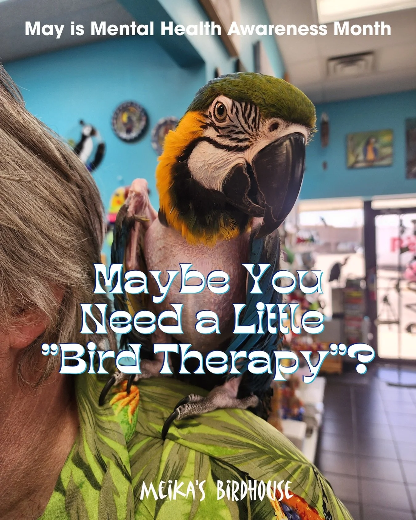 May is Mental Health Awareness Month&mdash;a time to focus on self-care and well-being. We think birds can play a role in lifting your mood and creating calm. Here are a few ways to care for your mental health, inspired by our feathered friends:

 🕊