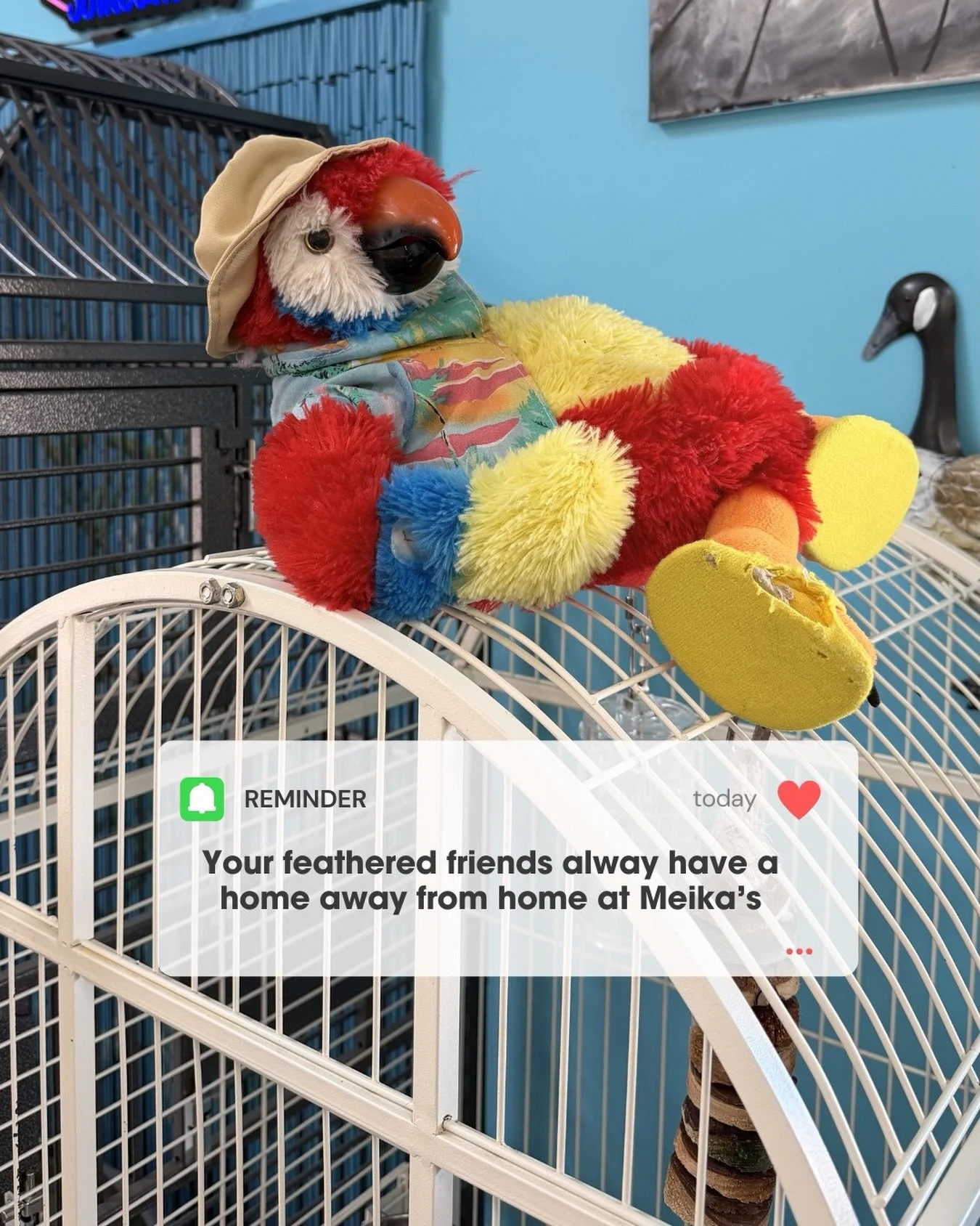 ✈️ Heading out of town? Keep your feathered friend happy and cared for at Meika&rsquo;s Bird House! 🐦💚

Whether you need Birdie Daycare, Short-Term Bird Sitting, or Extended Bird Boarding, we&rsquo;ve got your bird covered! From finches to macaws&m