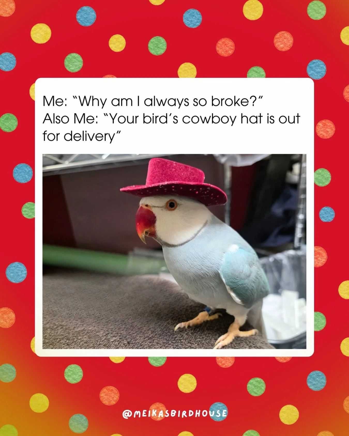 Because when it comes to spoiling our feathered besties, there&rsquo;s no such thing as &ldquo;too much!&rdquo; 🎁✨ 

At Meika&rsquo;s Birdhouse, we know they deserve it. Shop in-store or online with us and treat your bird like the royalty they are!