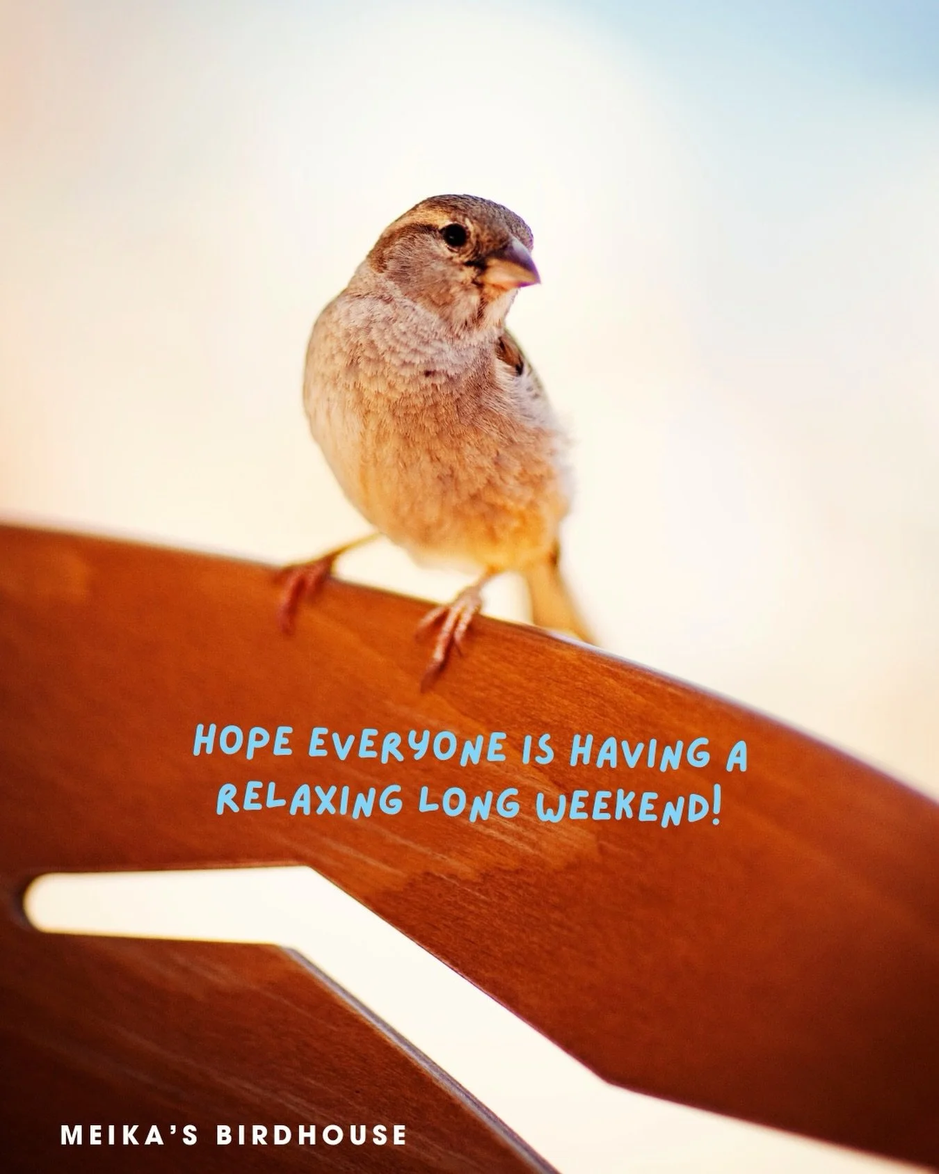 We hope you&rsquo;re having a restful long weekend! 

We&rsquo;re open today from 11&ndash;4, so swing by the Birdhouse and say hi 💛