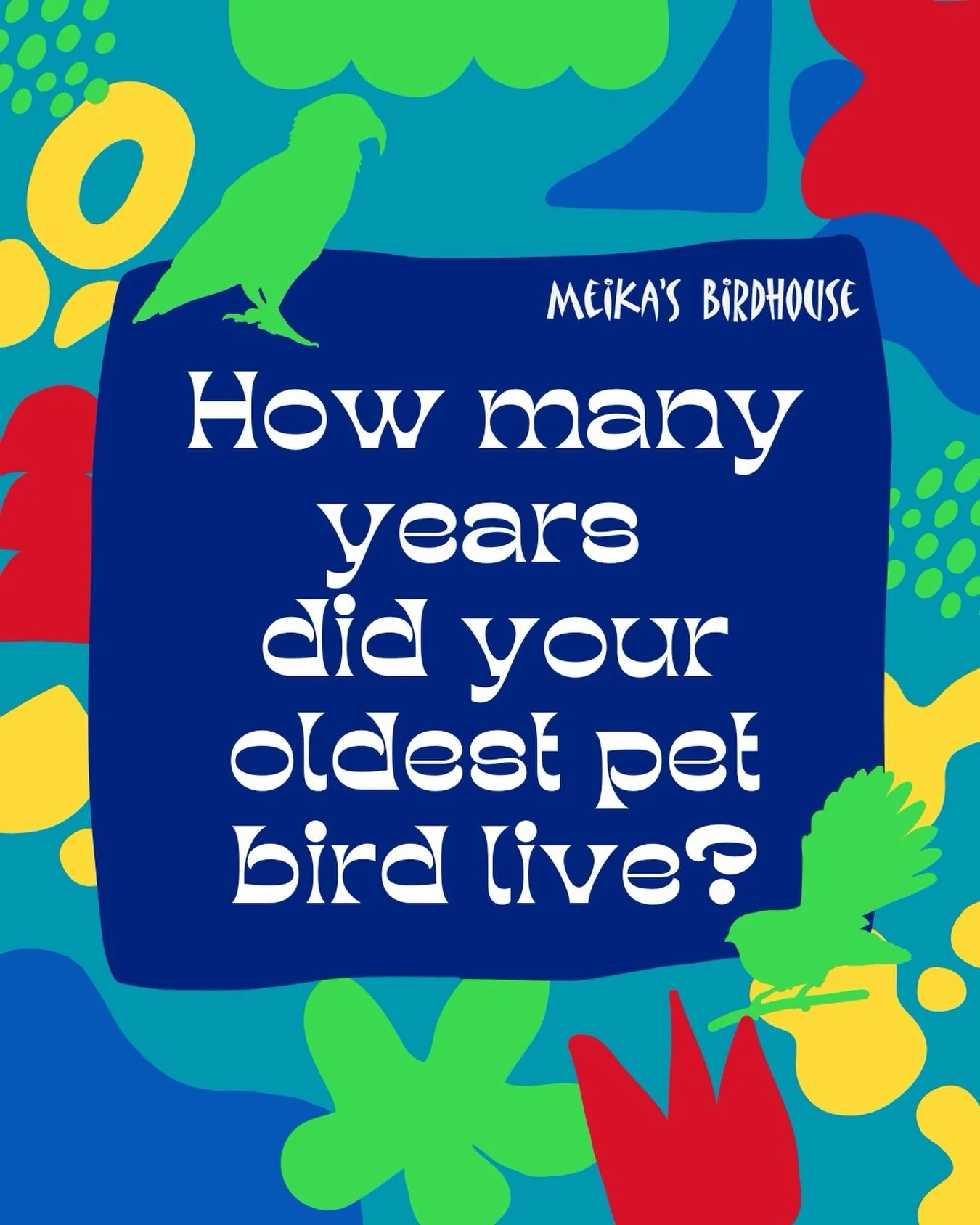 We all know birds can live incredibly long lives with the right care! How many years did your oldest pet bird live? 

Share your stories and celebrate their incredible lifespans with us and eachother in the comments.