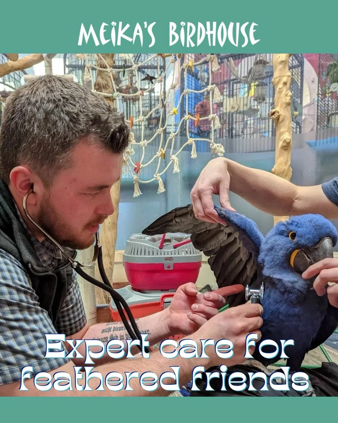 Your bird deserves the very best care, and finding a skilled avian vet can make a world of difference in their health and happiness. 🦜✨ Birds often live long lives, making regular checkups and expert guidance essential for their well-being. 

That&r
