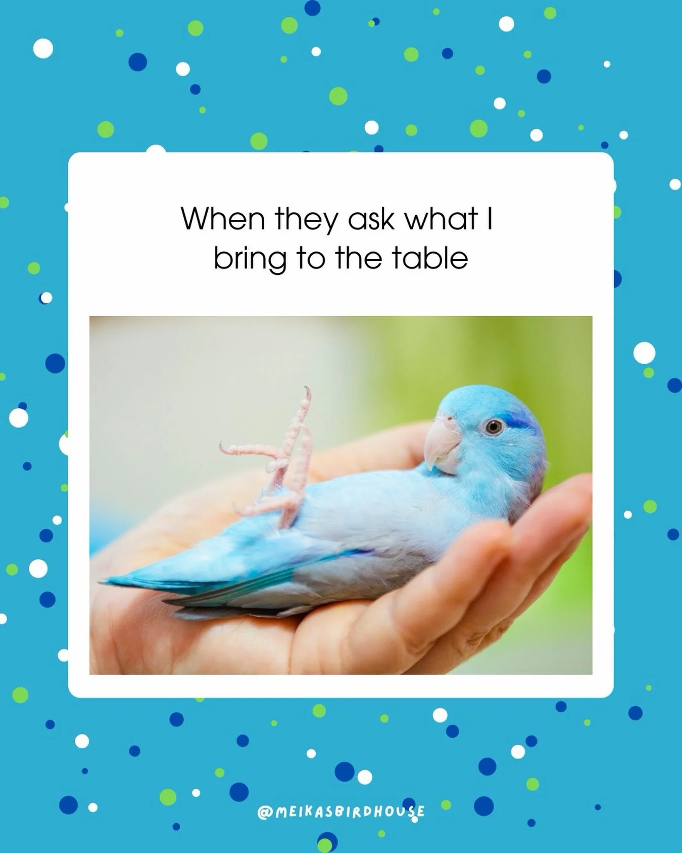Best I can do is bird.