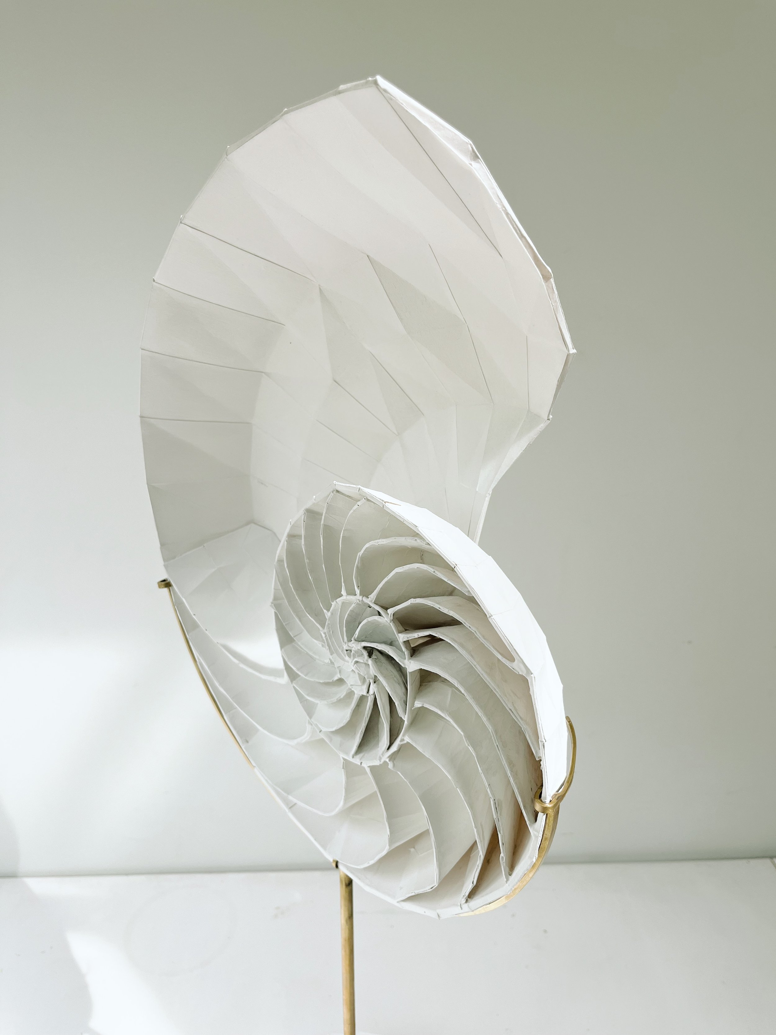 axel.goossens.nautilus4.jpeg