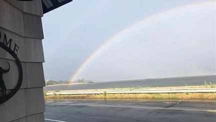 A rainbow over the ocean seen from a roadside view with a cloudy sky.