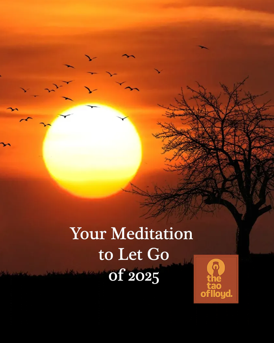 Meditation to Let Go of 2025 (a Lloyd Dobler meditation)