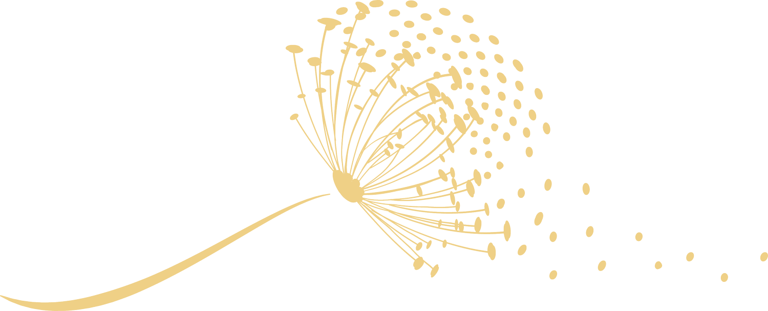 Focus Mental Health &amp; Wellness