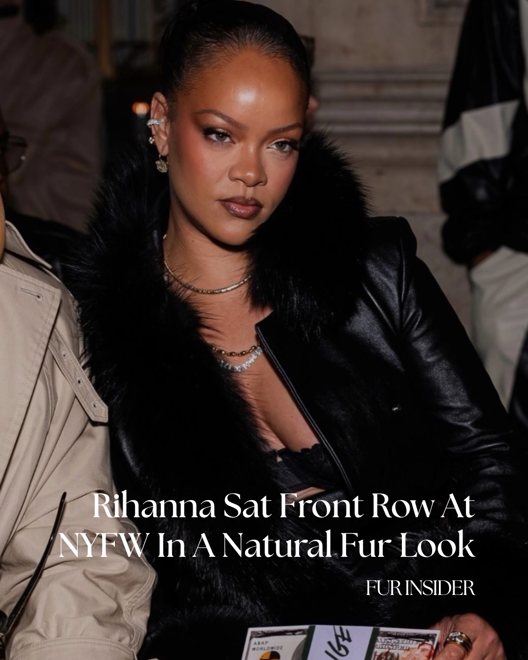 FurInsider Content .png