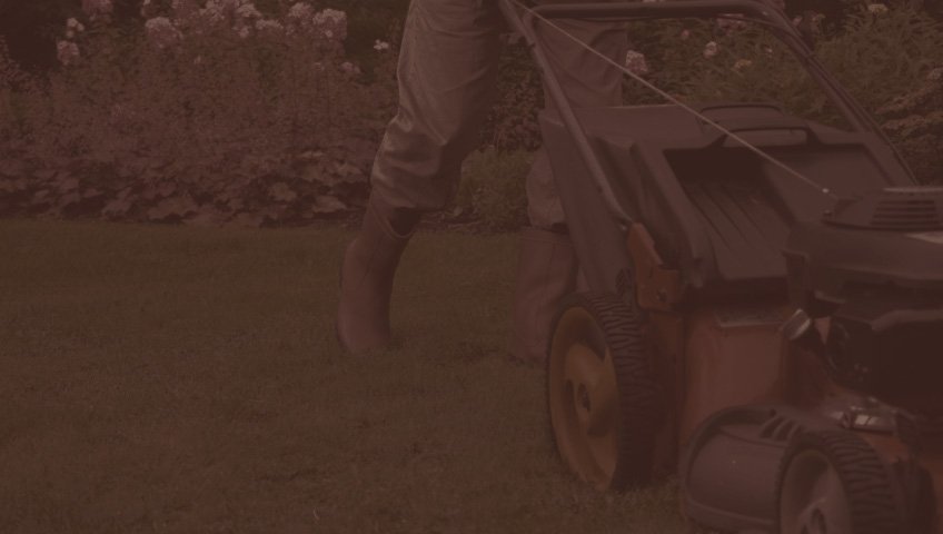 Avanelle Lawn care will be launching soon. It will on;y be available Concierge Home Program members.