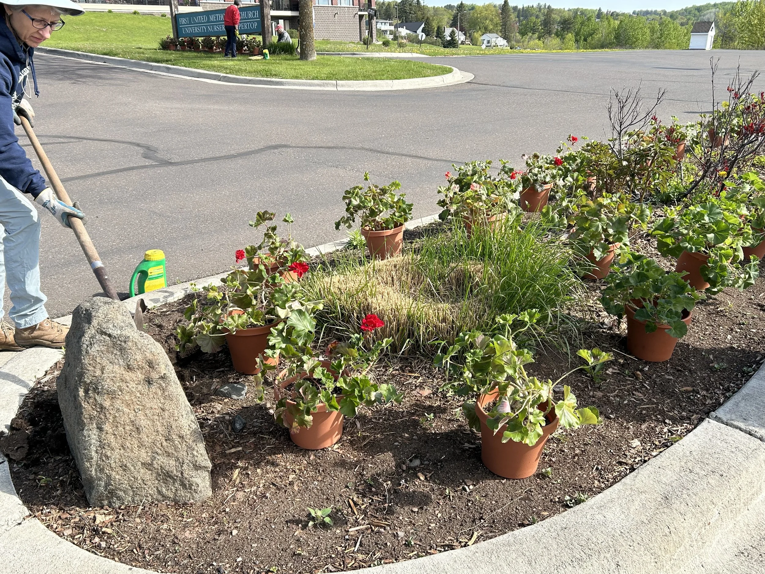 Volunteers planting geraniums at First United Methodist Church.
