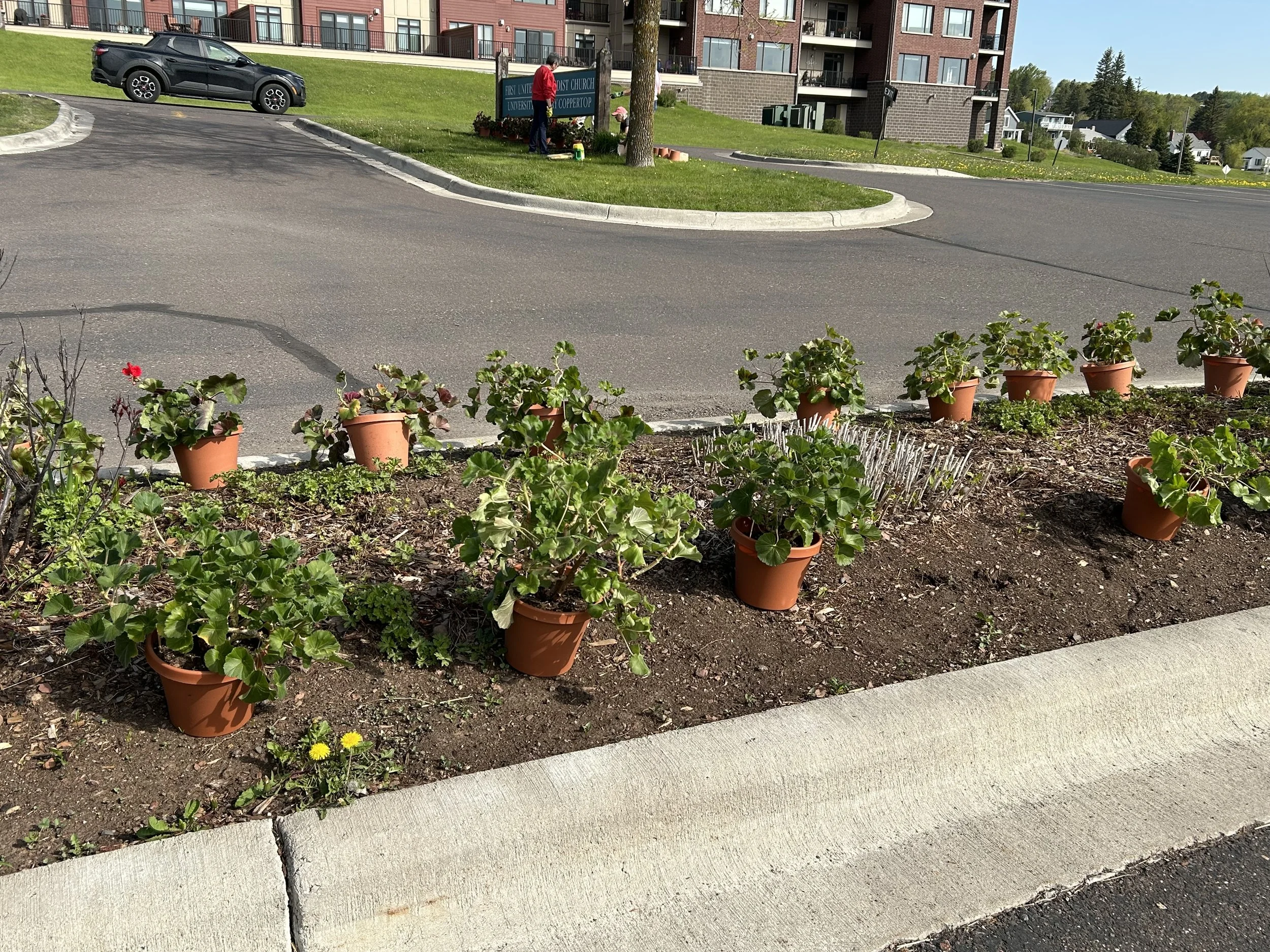 Volunteers planting geraniums at First United Methodist Church.
