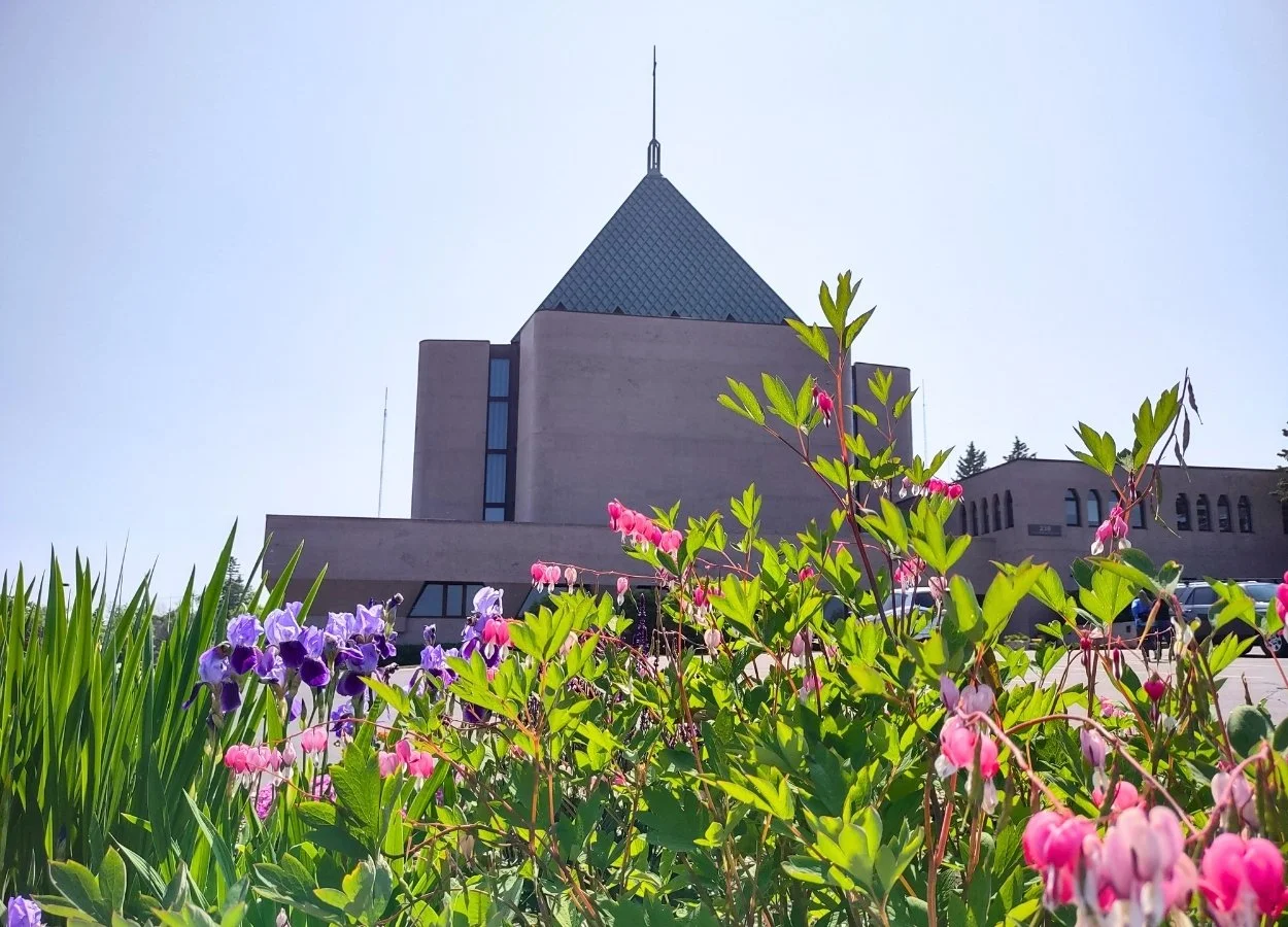 Flowers in pink and purple bloom in the foreground of First United Methodist Church.