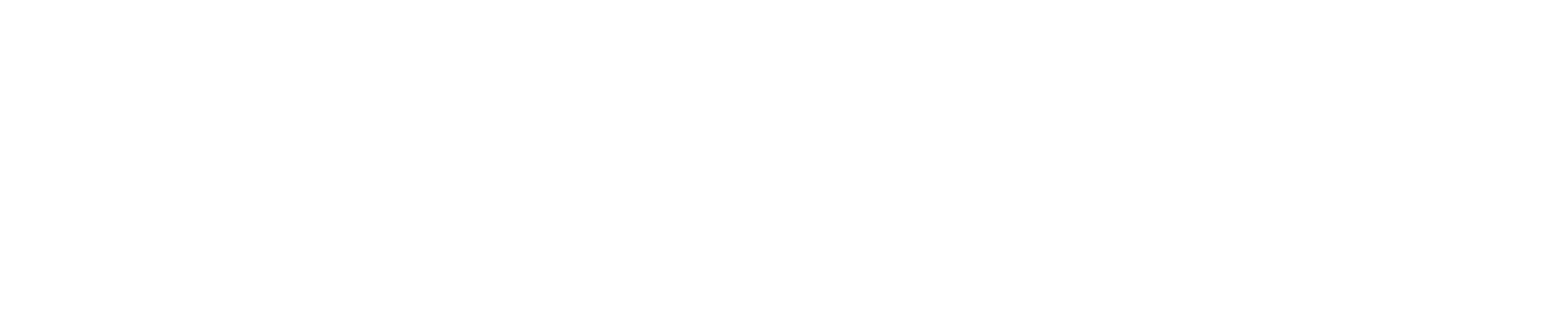 Forged Asset Management Ltd