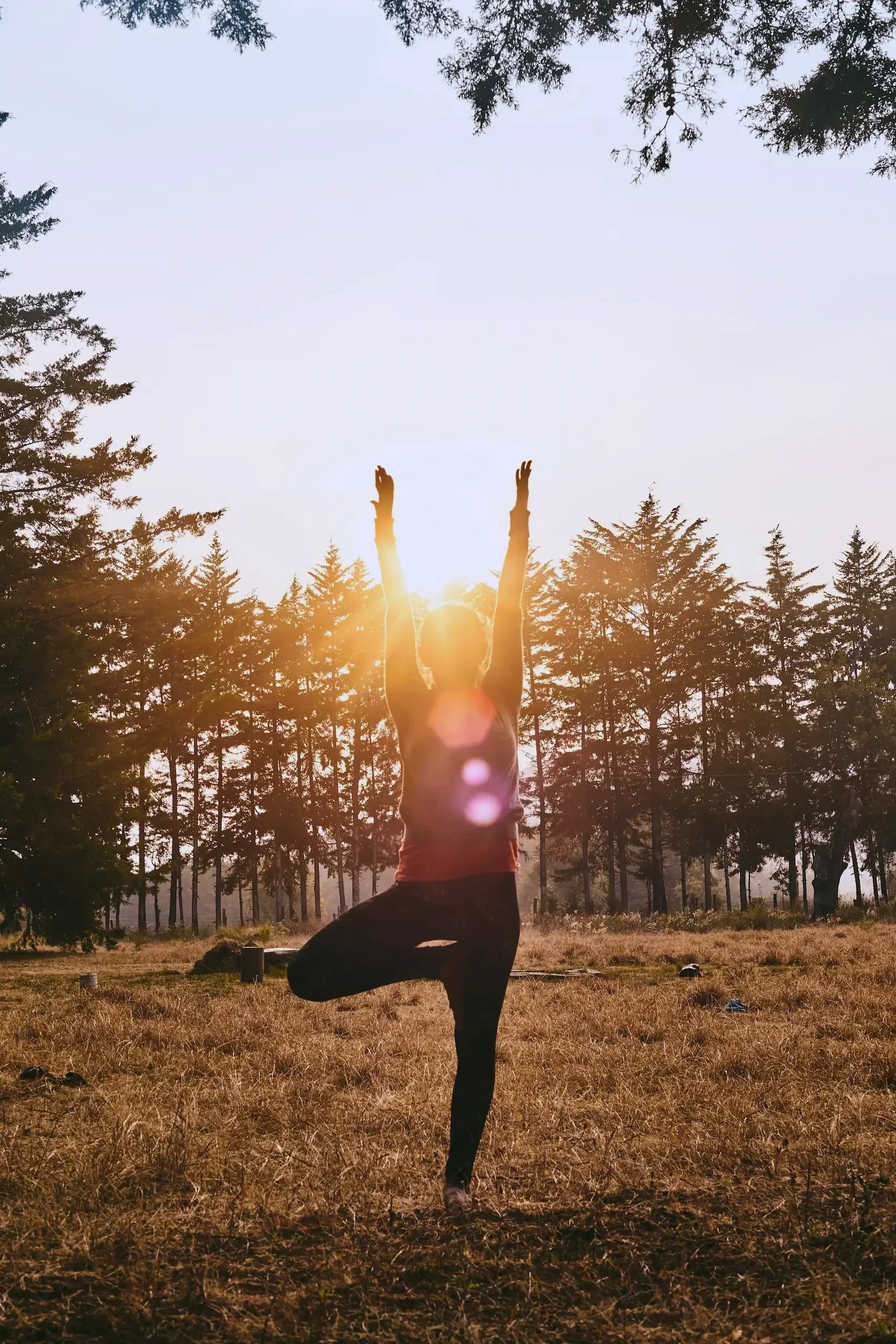 Forest Yoga Trek