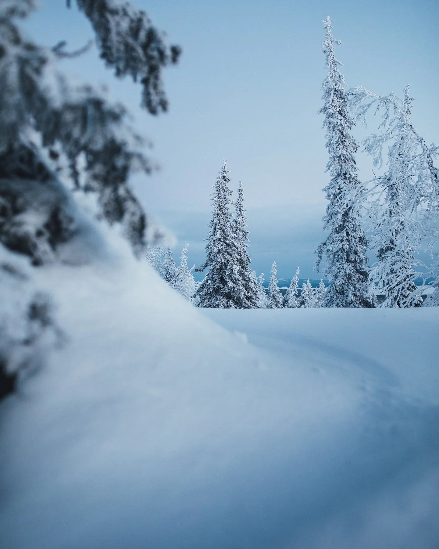 Did you know that we provide free snowshoeing equipment for you to explore beautiful surroundings of our resort? 
 Check out our magnificent “pass of solitude”, a hiking trail that starts straight from Halo igloos and takes you through b