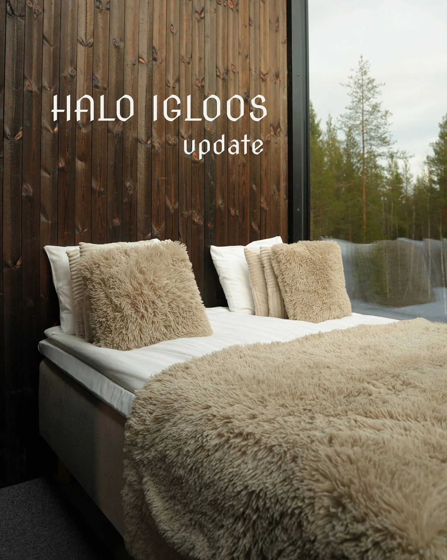 So many of you ask us daily questions when we’ll post first real pictures of our igloos. 
At the moment we’re finishing preparations to make everything look neat and in 1 month we’ll open Halo igloos to welcome our first guests. We