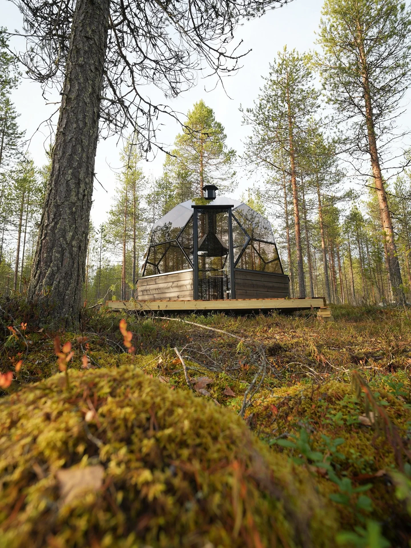 Our new glass kota looks stunning! ๐
Imagine sitting in there and having some yummy food with your beloved ones and enjoying Auroras dancing in the sky! ๐ ๐ฅ 
We will organize private dining experiences in this  Aurora hut in the winter. If you&rs
