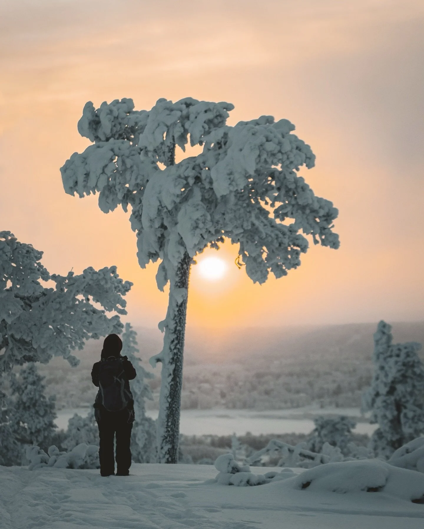 Whether you&rsquo;re looking for peaceful moments or playful ones, you will find plenty to do just steps from your igloo.

Halo igloos resort is built in a circular layout, with the main building, restaurant, and reindeer enclosure at its heart. Surr