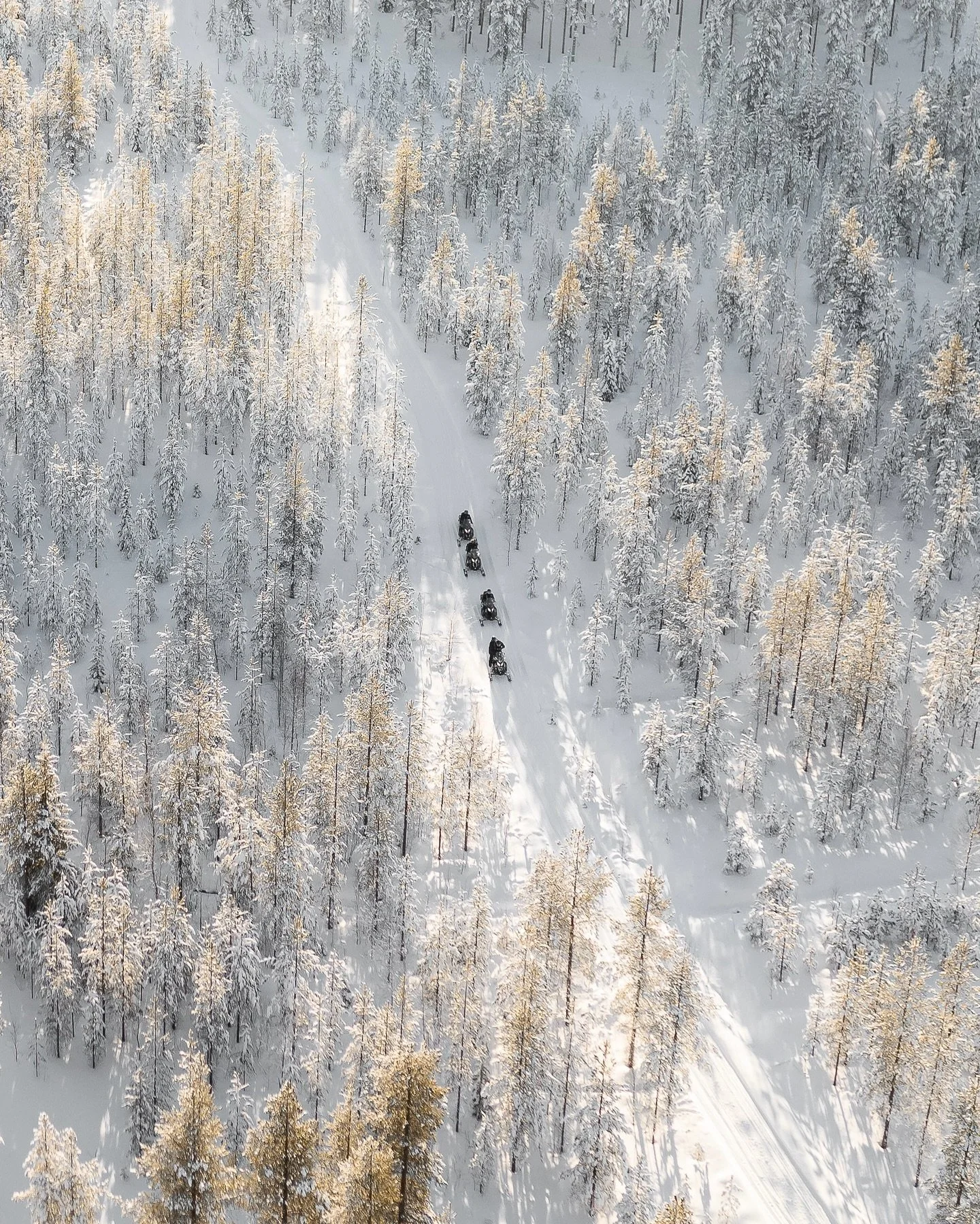 There&rsquo;s so much to do in Rovaniemi🇫🇮❄️ Snowmobiling and Aurora hunting, husky and reindeer safaris, snowshoeing and cross country skiing and many other fun activities. 

Pick Halo igloos as your winter getaway and enjoy the best of Rovaniemi 