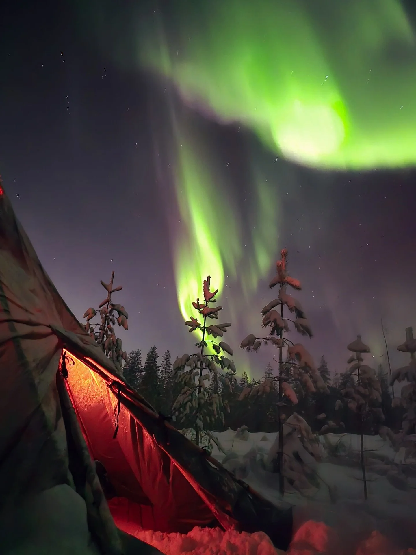 Happy New Year from @haloigloos 🌌💚

We wish you and your loved ones happiness and warmth in the year ahead! 

See you in Rovaniemi in 2026!🇫🇮☃️

#haloigloos #visitrovaniemi 

Halo igloos, winter activities in Lapland, winter wonderland, Finnish L