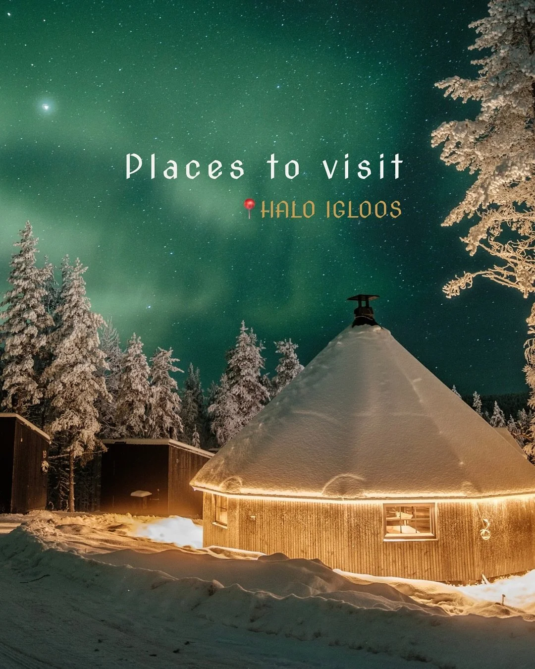 At @haloigloos we welcome each guest with warm, unhurried hospitality. 
The resort features its own reindeer enclosure and  cozy traditional Reindeer hut. Visit our beautiful glass kota where you can roast mushrooms by the fire or chase the Northern 