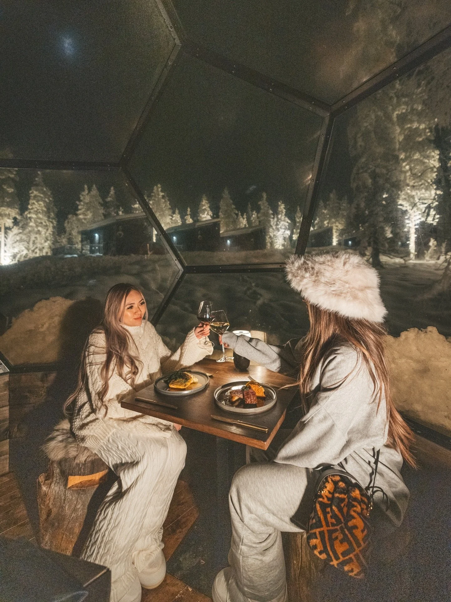 Looking for some unique experiences while staying at @haloigloos ?
Try out our glass kota dinner experience which highlights local ingredients from freshwater fish to reindeer prepared with Nordic elegance and warmth.

Check out more information abou