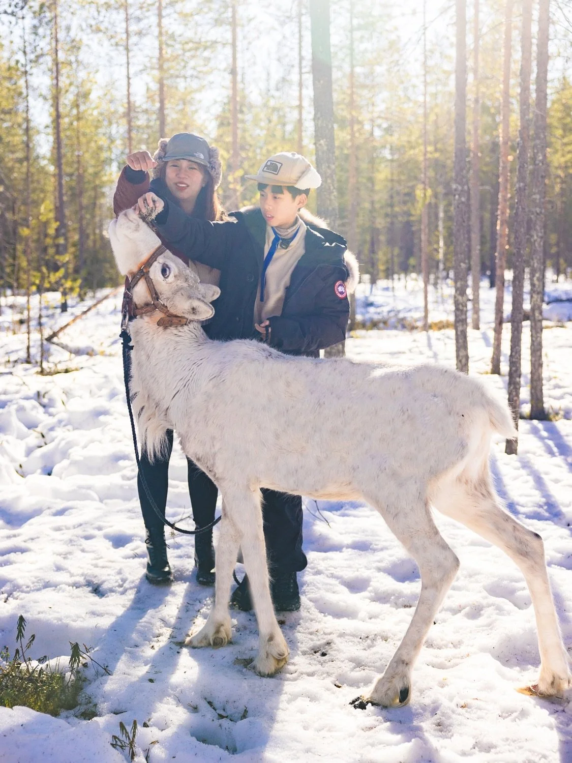 Beautiful travel family @globetrotterkin visited us in April and experienced spring in Finnish Lapland 🇫🇮☀️
Sunny days, reindeer walks, yummy food and gorgeous Aurora Borealis 🌌🦌☺️

Dreaming of a trip to Finnish Lapland?
Send this post to your pa
