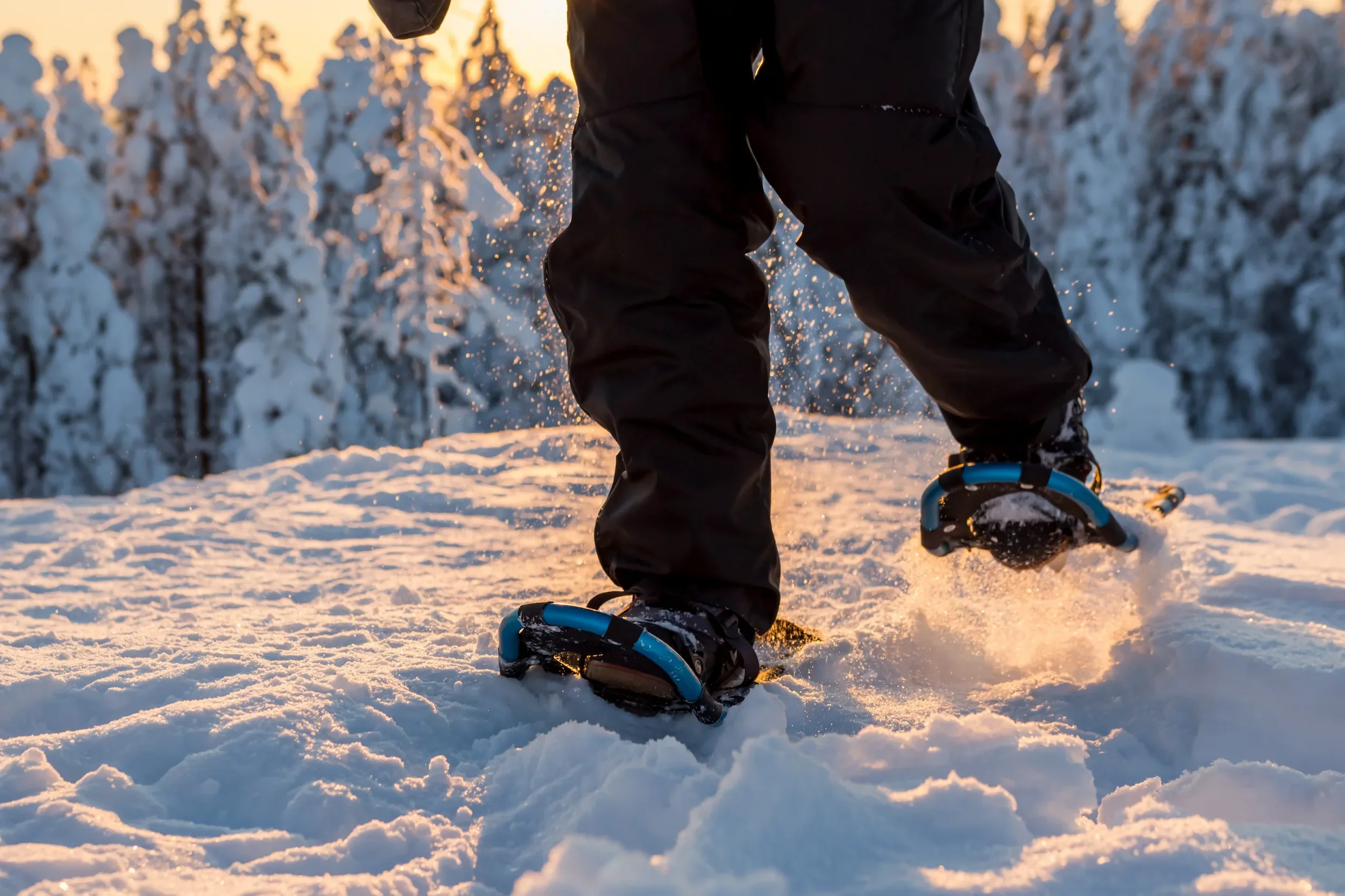 snowshoeing_halo_igloos.webp
