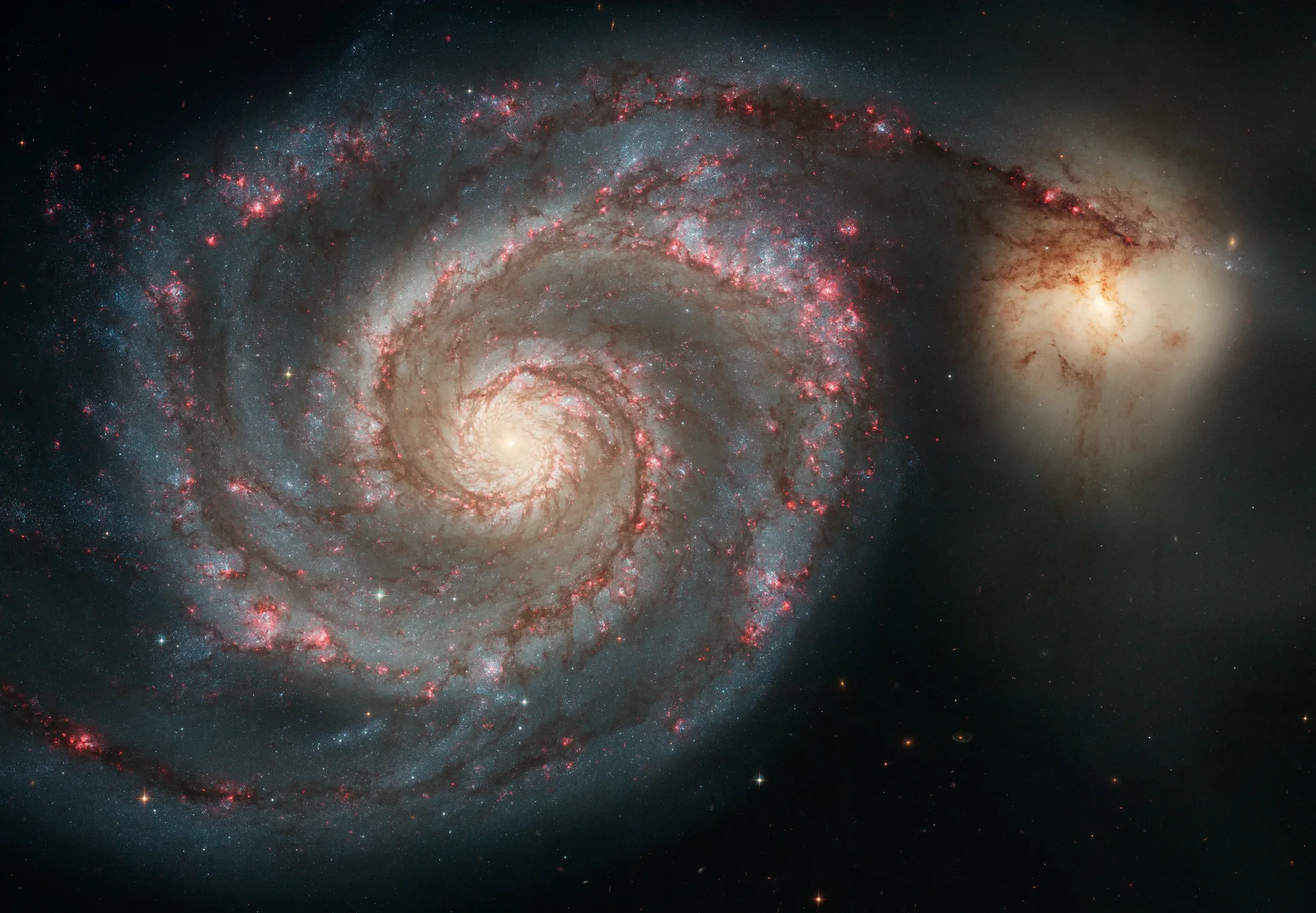 M51 The Whirlpool Galaxy (1).webp
