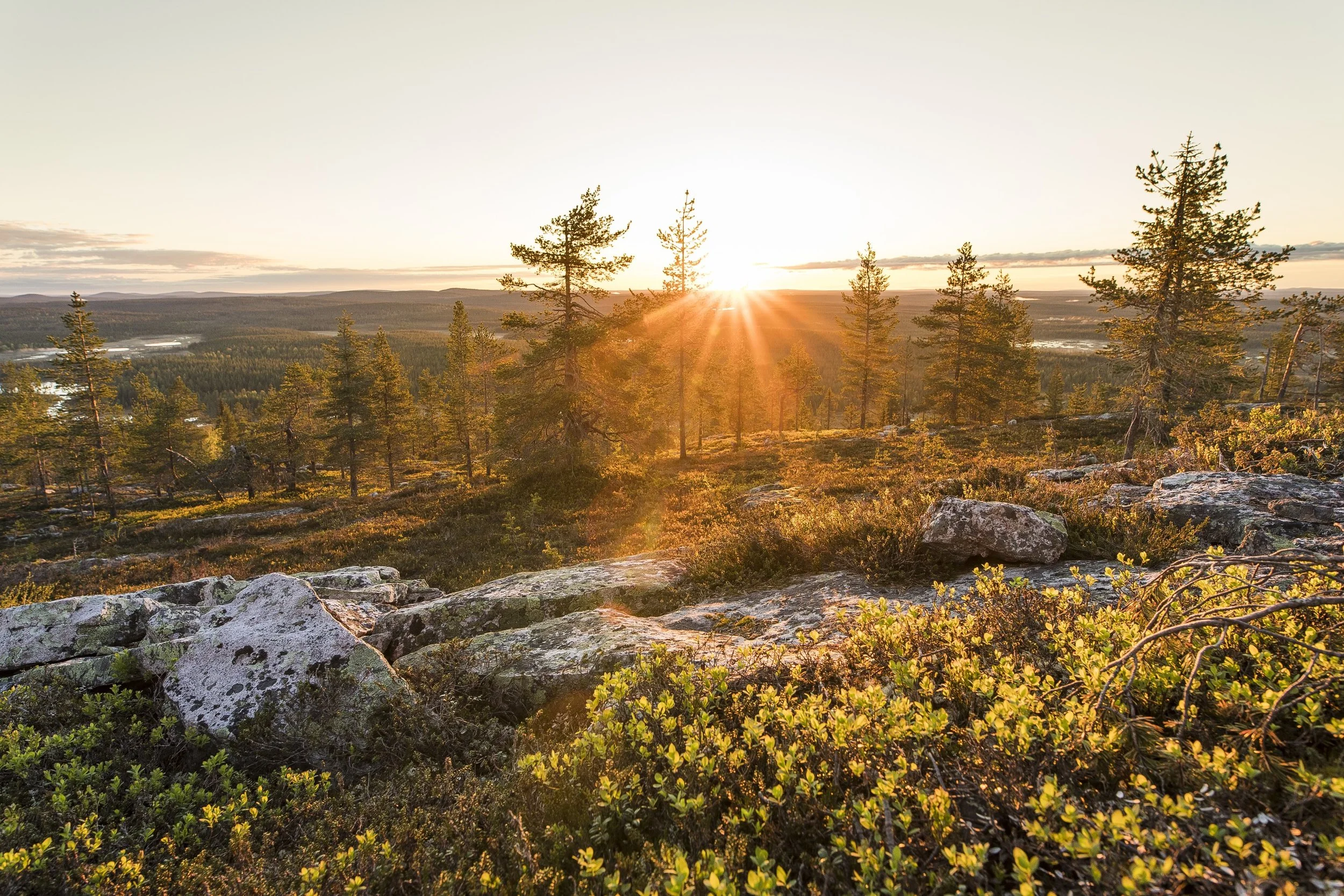 Nature in Rovaniemi Lapland Finland photo by Alexander Kuznetsov (1).jpg