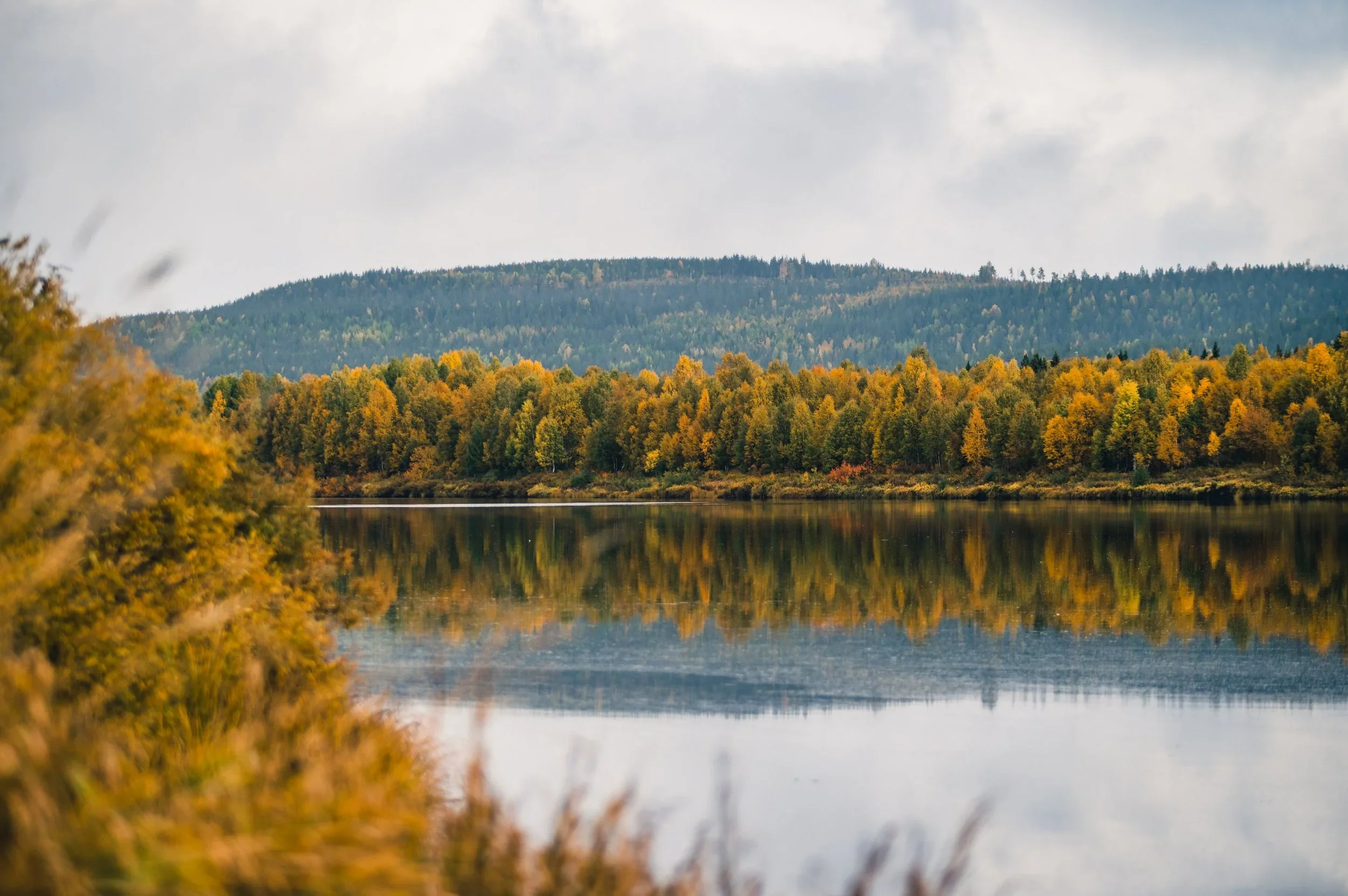 Autumn in Lapland: The Best Time to See the First Auroras of the Season