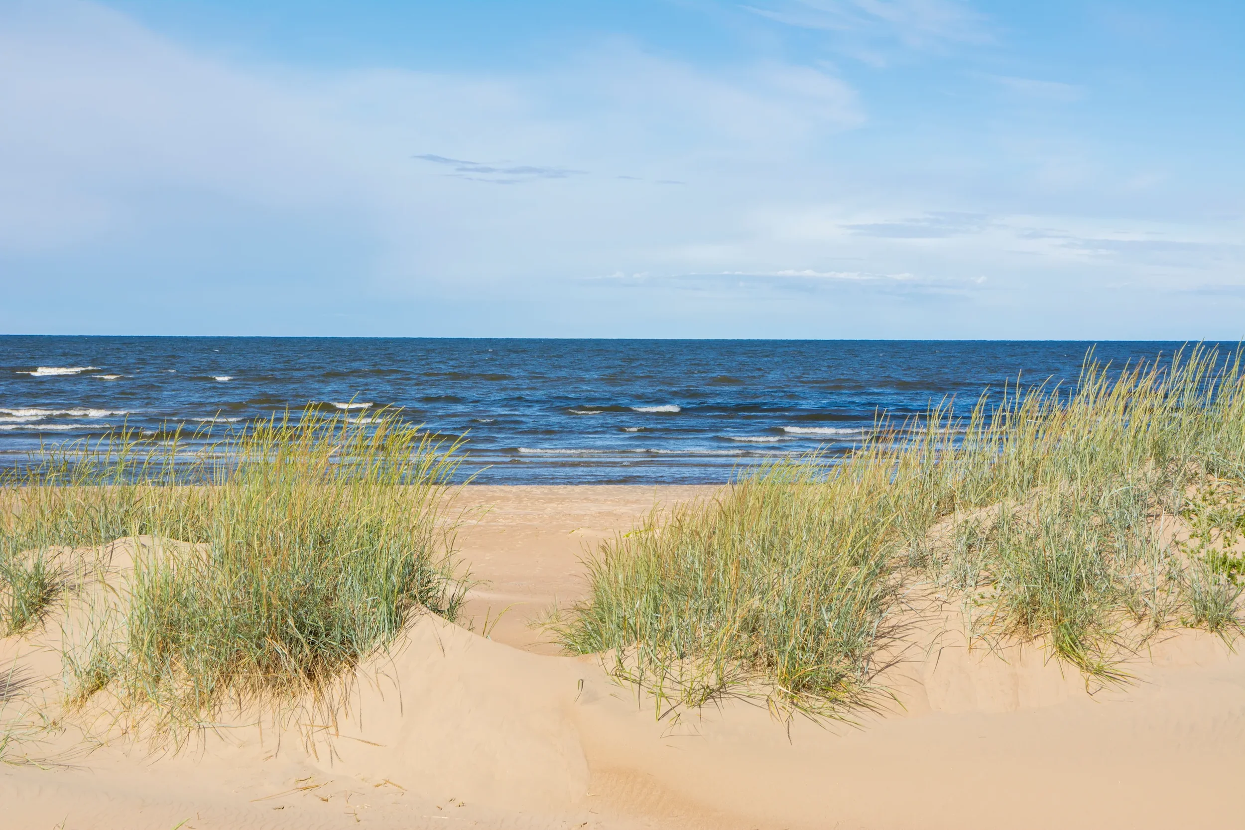 AdobeStock_588668405.webp