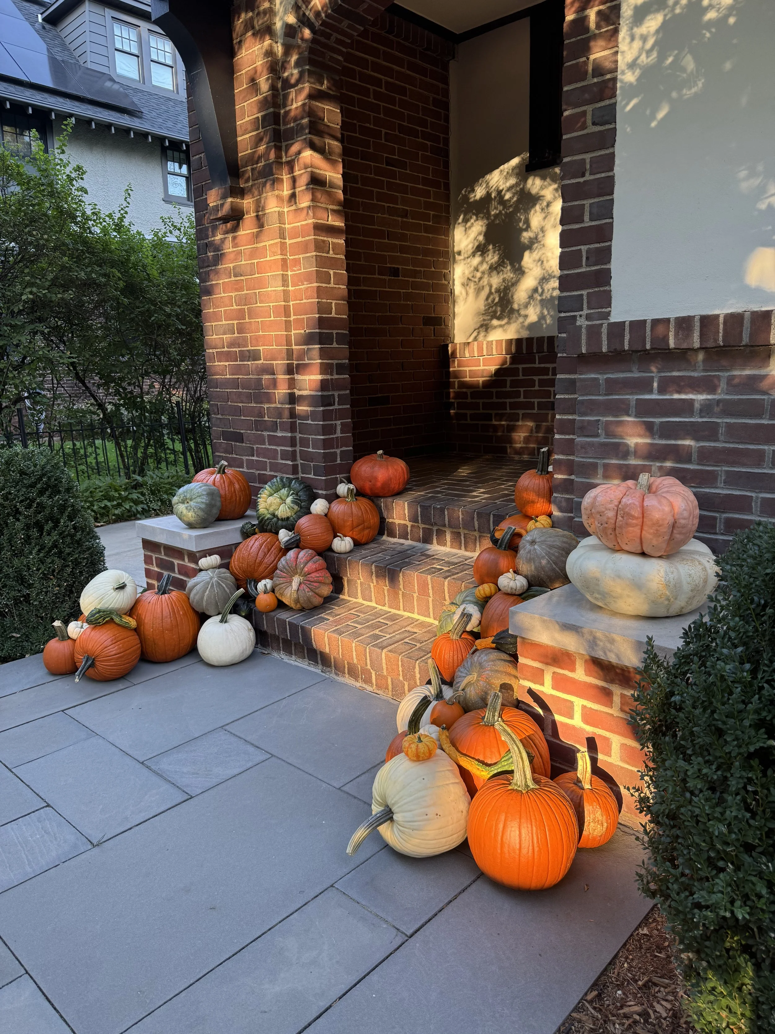 IMG_1542 (1).jpeg