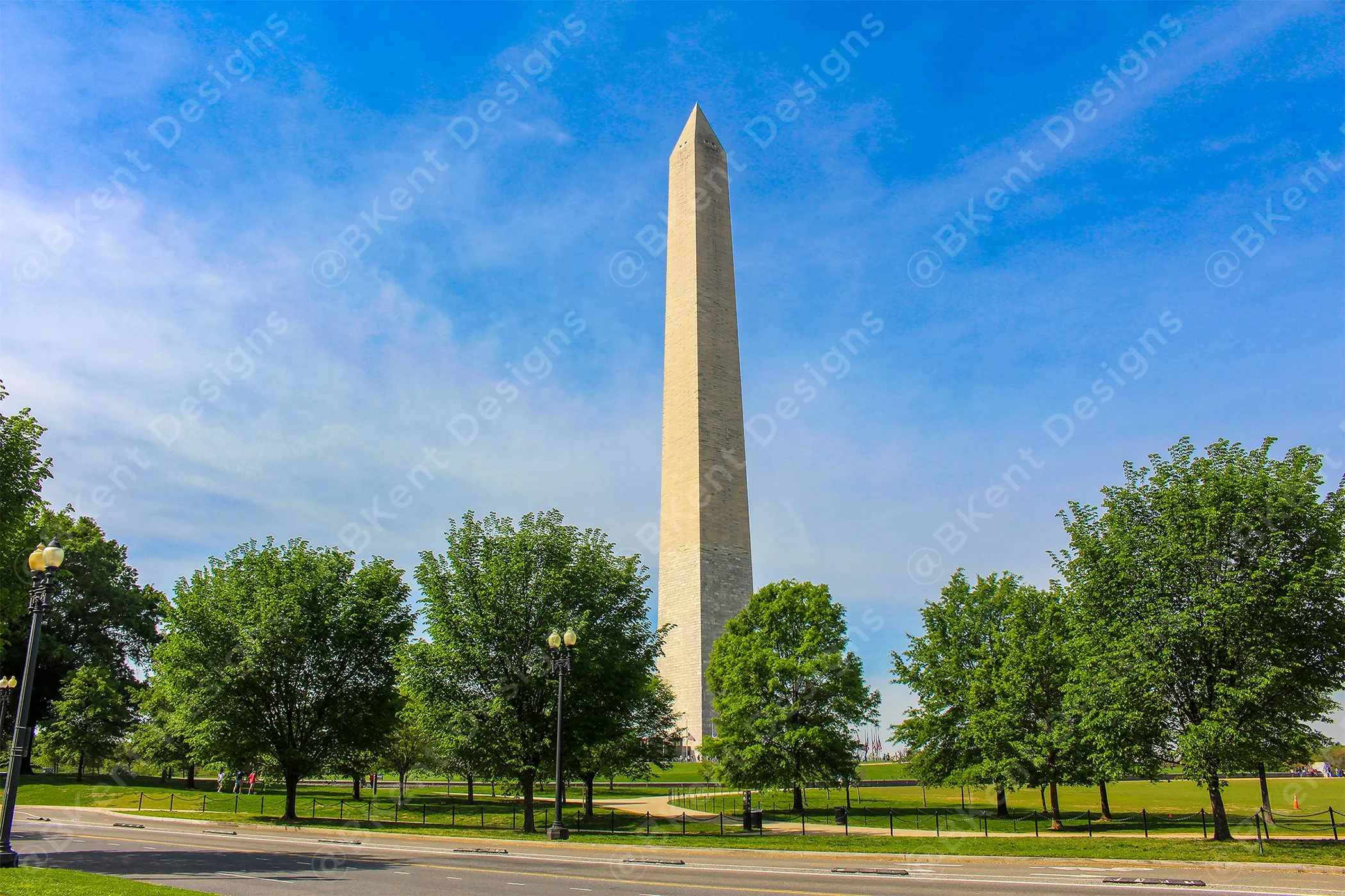 DC Monument Trees w.jpg