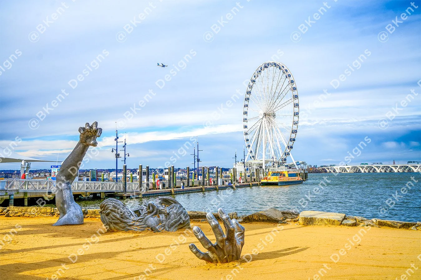 Awakening Harbor Plane watermark.jpg