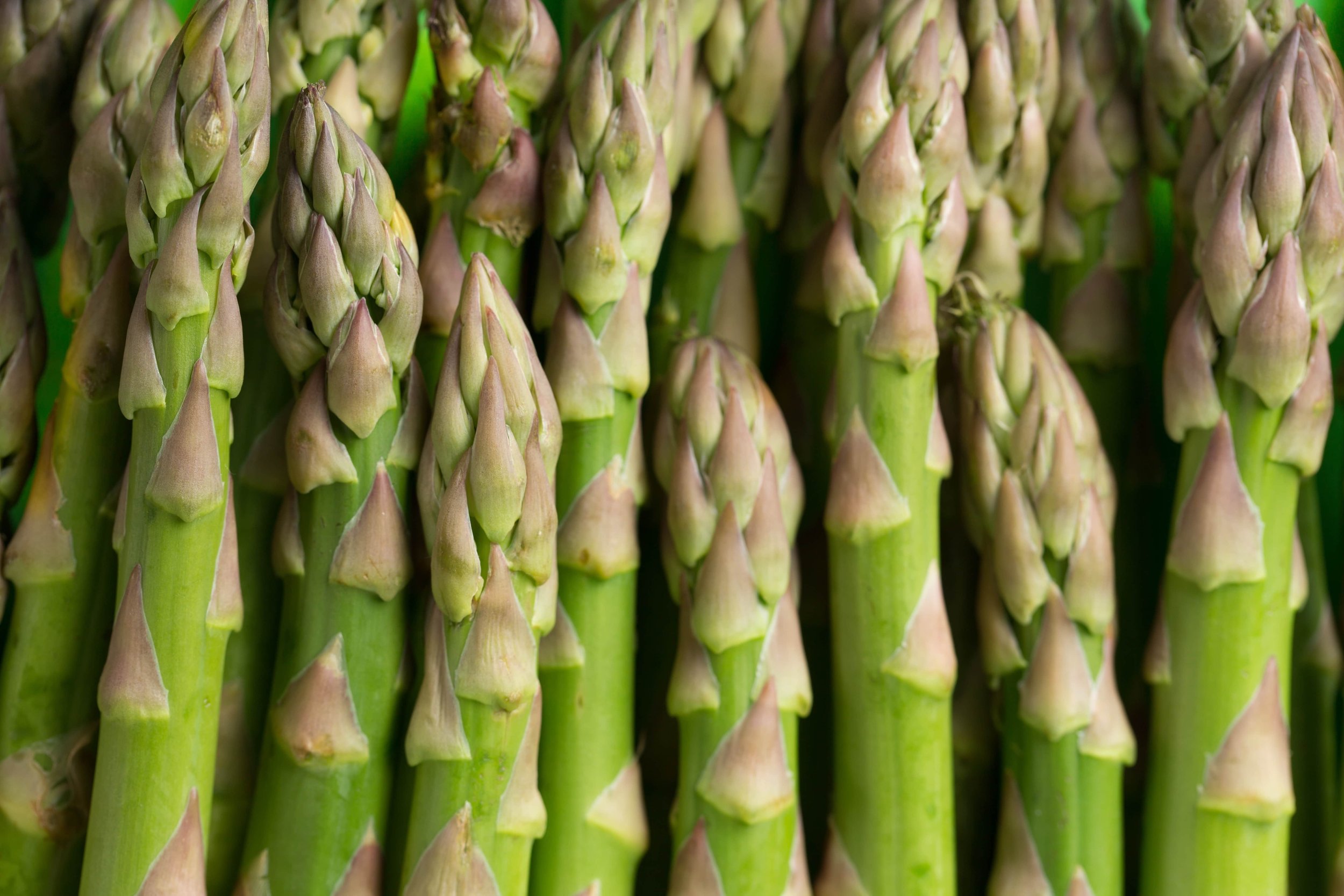 Close-up of fresh green asparagus spears arranged vertically.