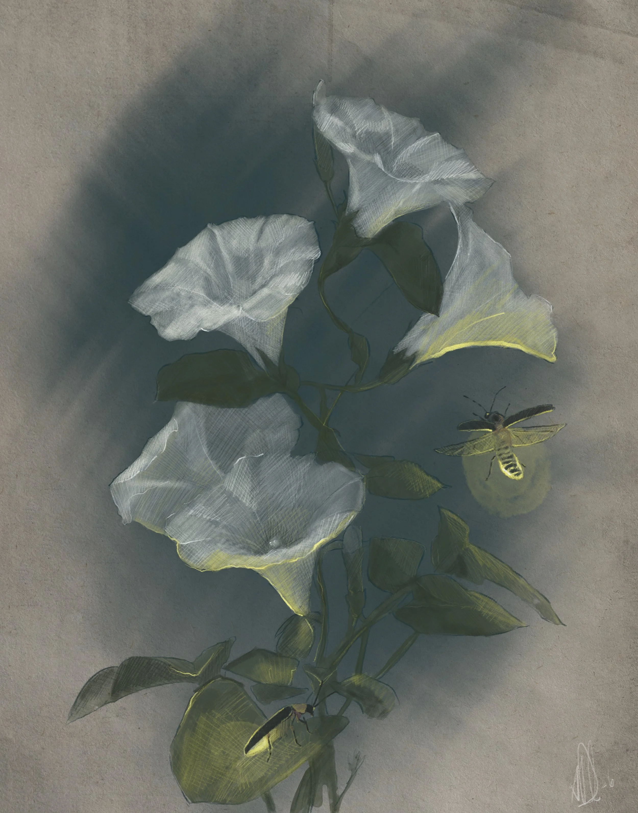 moonflowers.jpeg