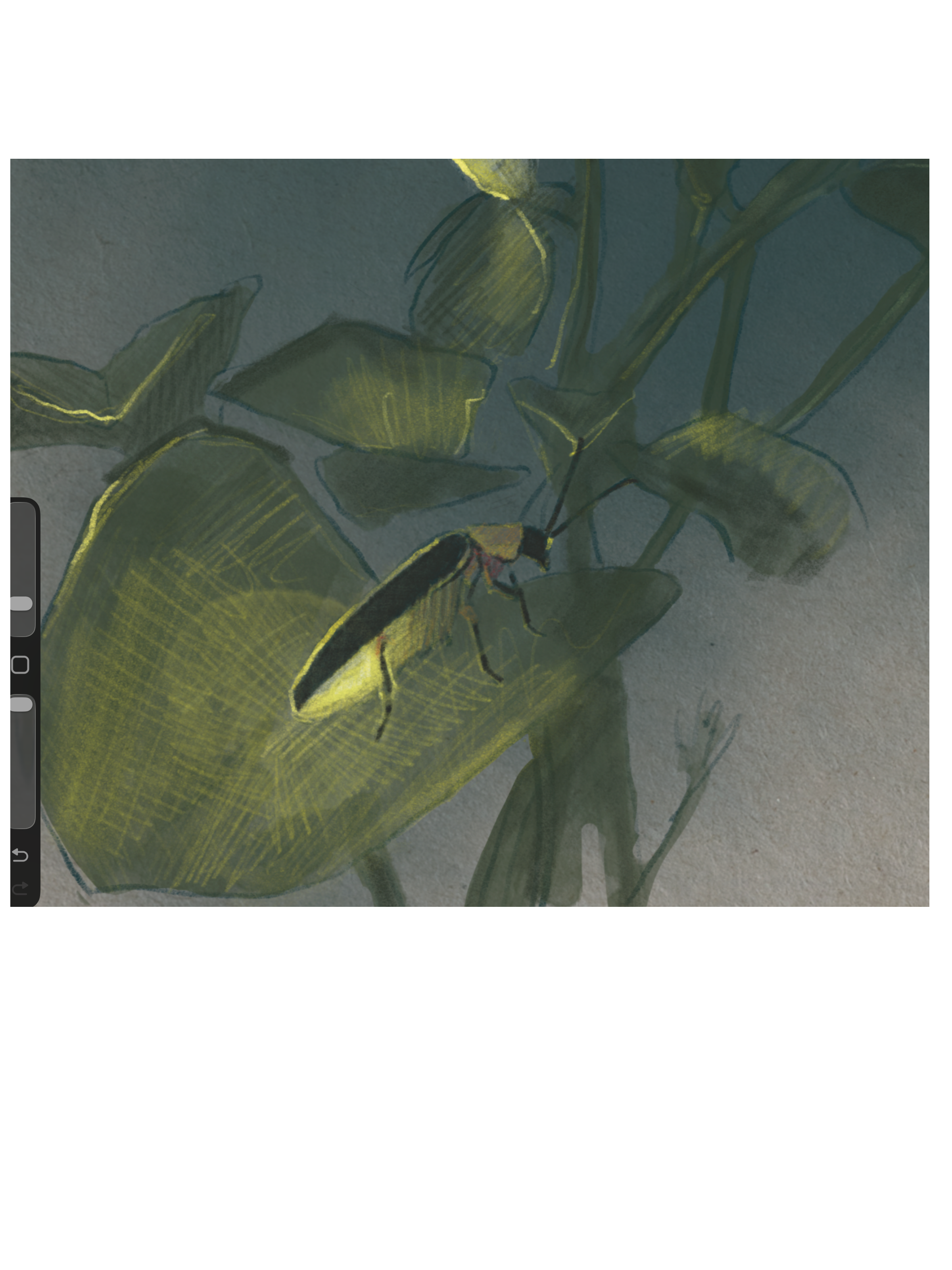 IMG_0357.PNG