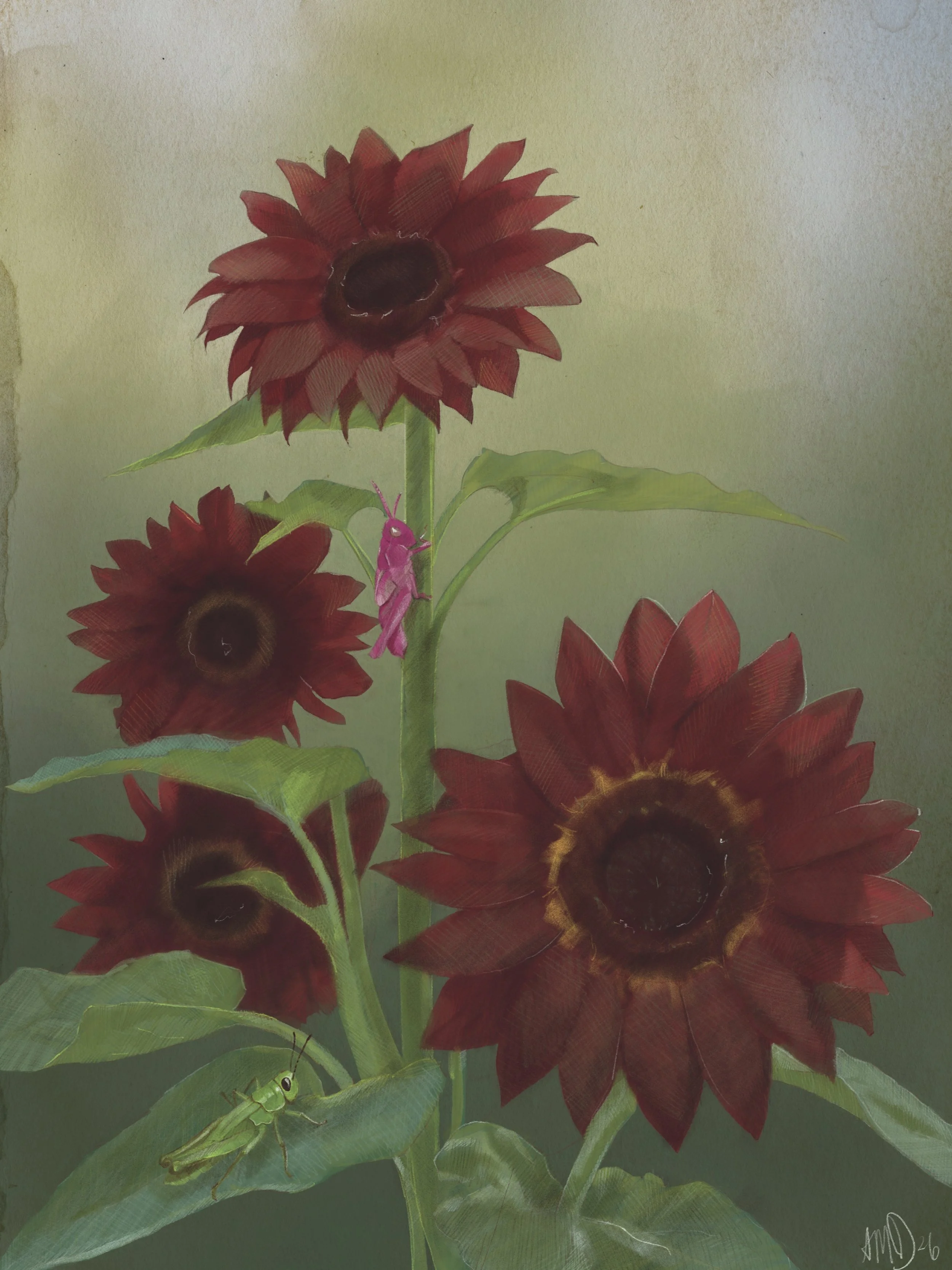 Sunflowers