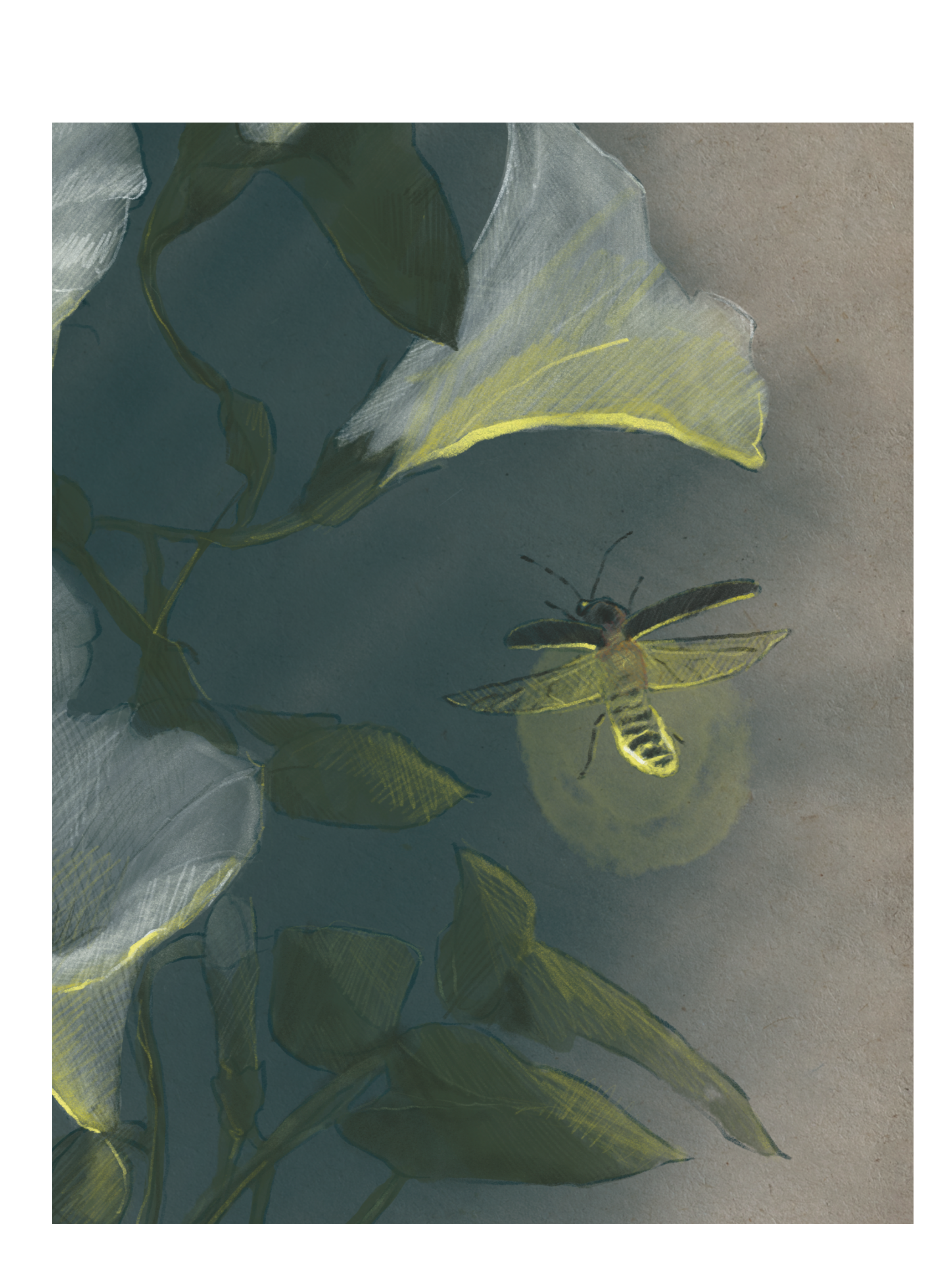 IMG_0355.PNG