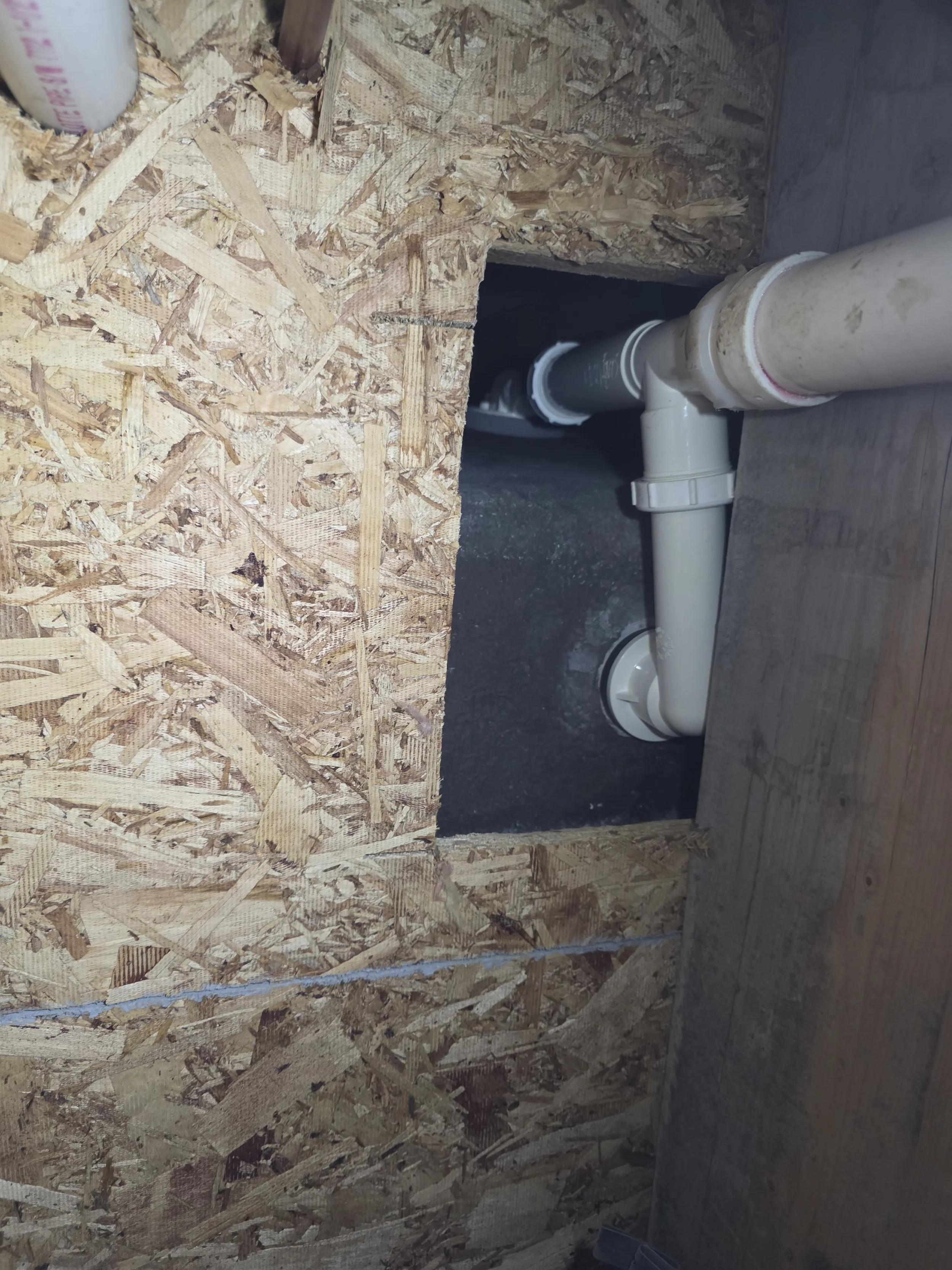 rodent found plumbing penetrations in durango