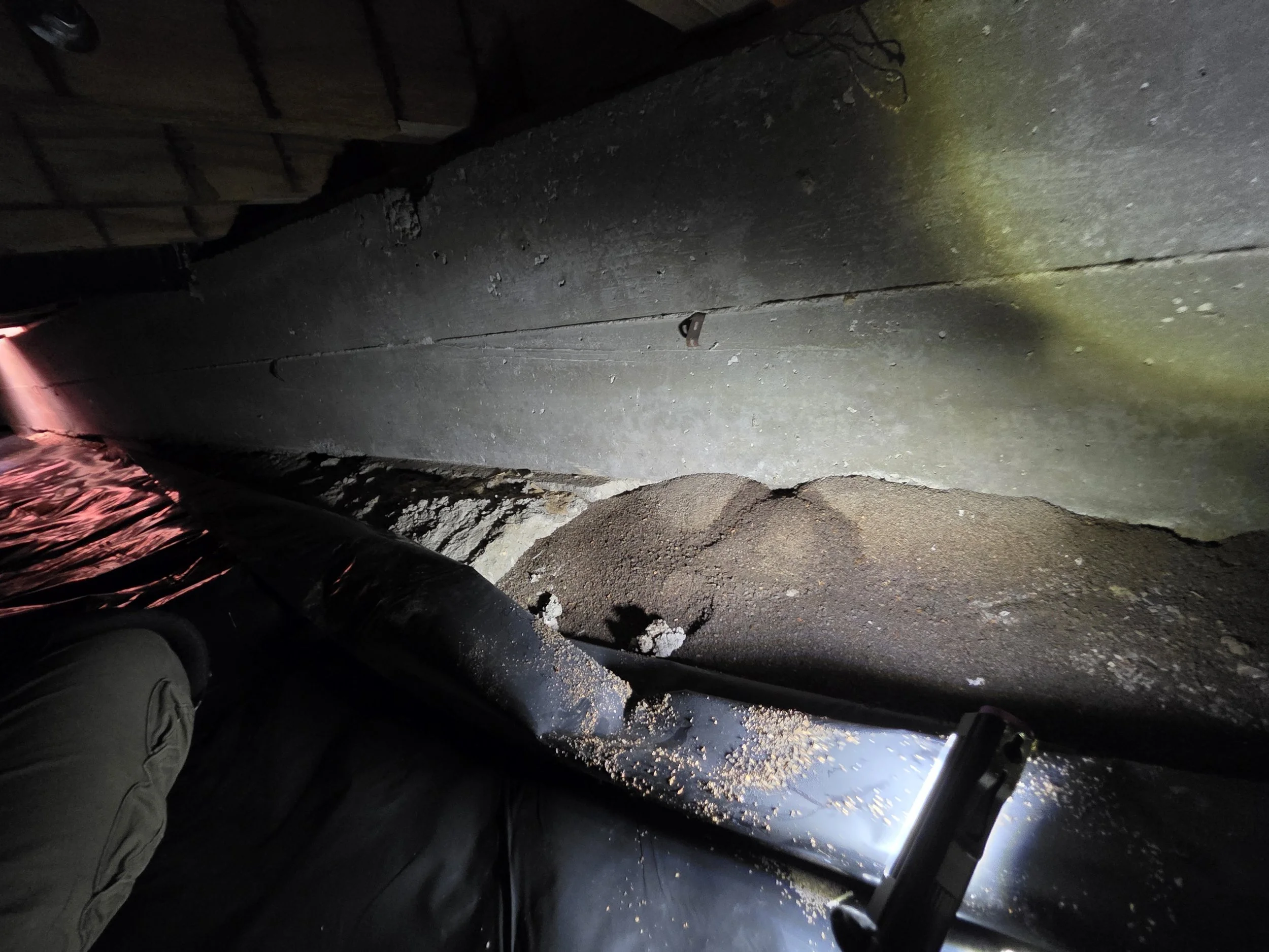 rodent intrusion under stem wall