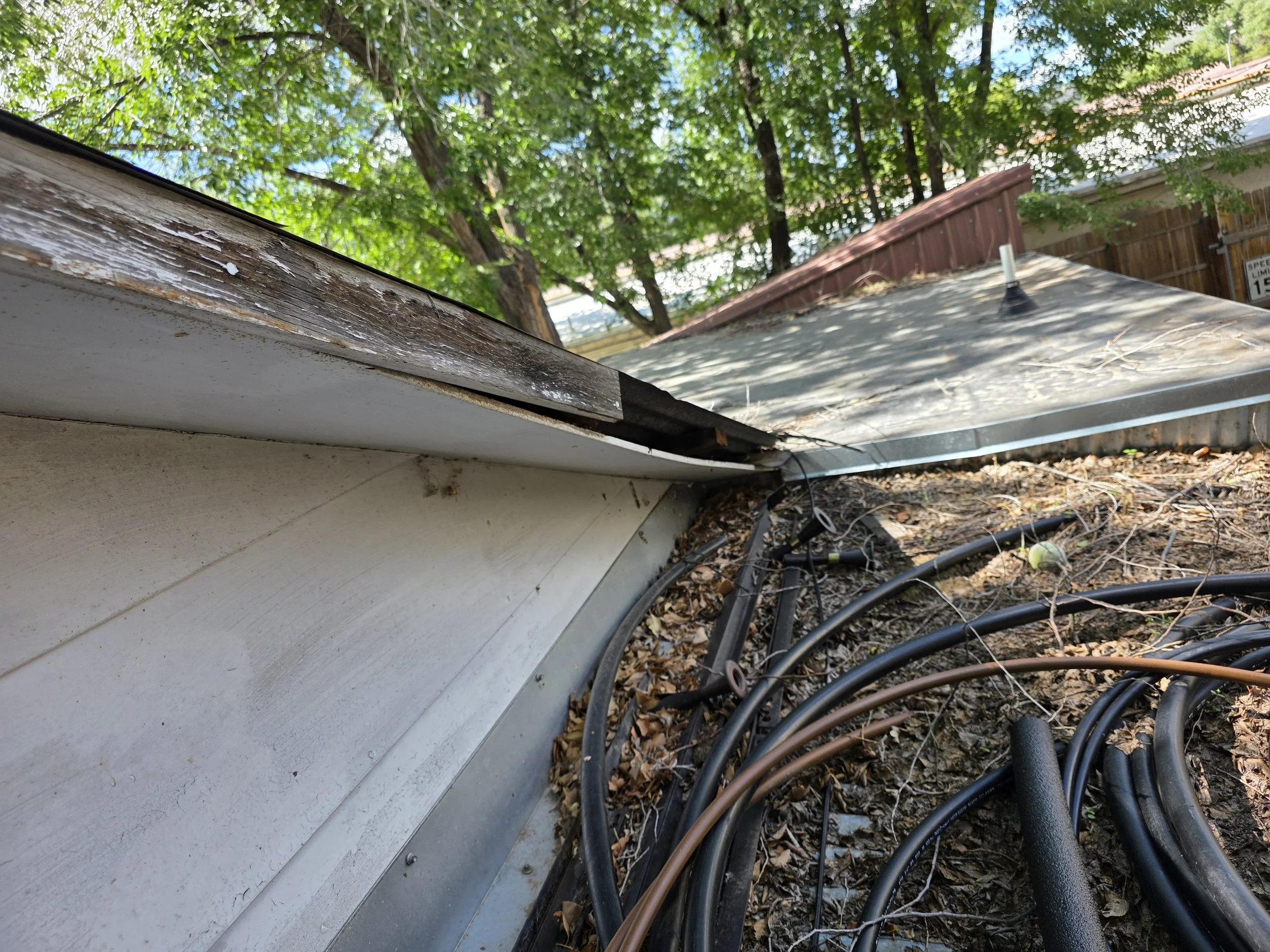 pack rats took over this roof eve in town durango