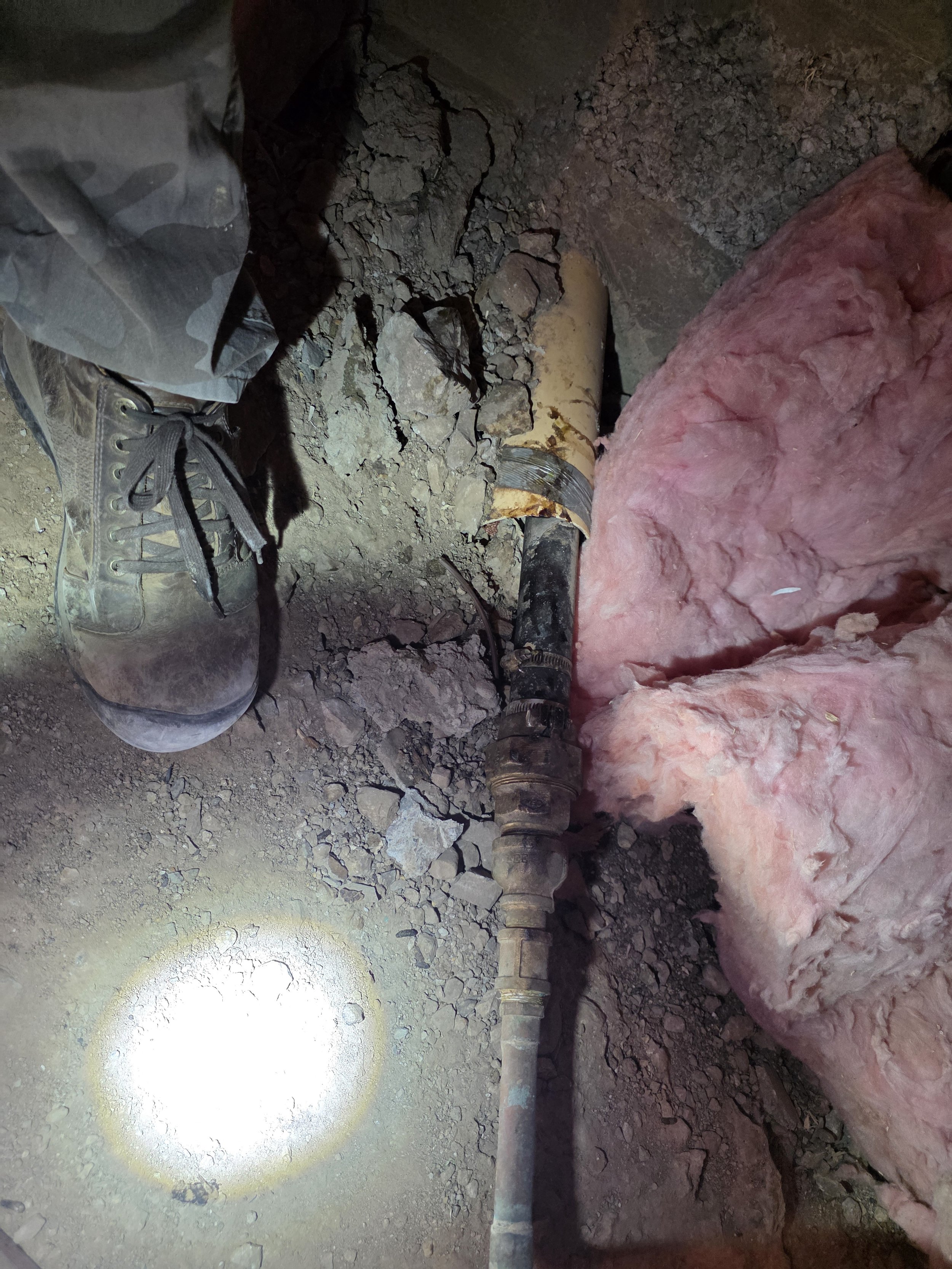 rodent broke in through a utility penetration