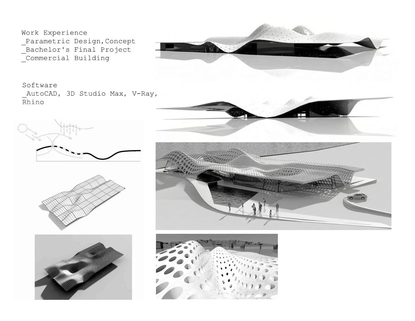 Portfolio-Zuzana Skelton-New Page 014.jpg
